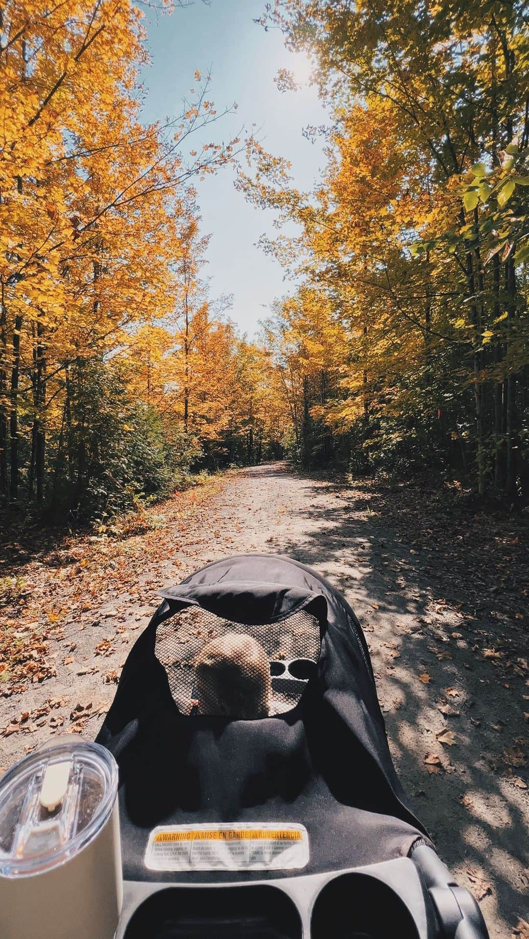 Kalyn Nicholsonのインスタグラム：「Here’s a warm serotonin boost in the form of baby giggles — who knew Bentley was so funny?  This clip is from the newest Youtober vlog that just went live, in case you want even more serotonin 🍂」