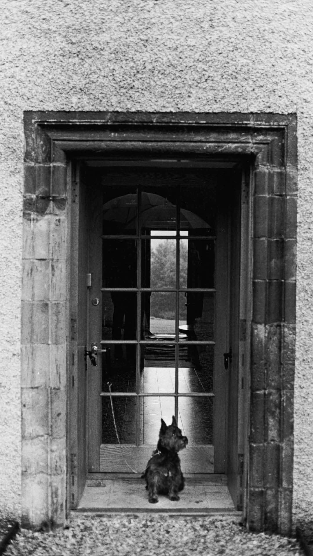Magnum Photosのインスタグラム：「One common theme throughout @elliotterwitt’s work is his penchant for man’s best friend, and his series on Scotland – published as a photobook in 2018 – was no exception to this 🐶🏴󠁧󠁢󠁳󠁣󠁴󠁿  In 2011, Erwitt created 12 individual dog portraits, each of different Scottish breeds, in the same doorway of a rural house in Scotland.  The upcoming Square Print Sale from October 16-22 will feature a stamped print of a dog from Erwitt’s large archive of furry friends.   🔗 Sign up for a chance to win a print of your choosing from the upcoming sale via the link in the @magnumphotos bio.」