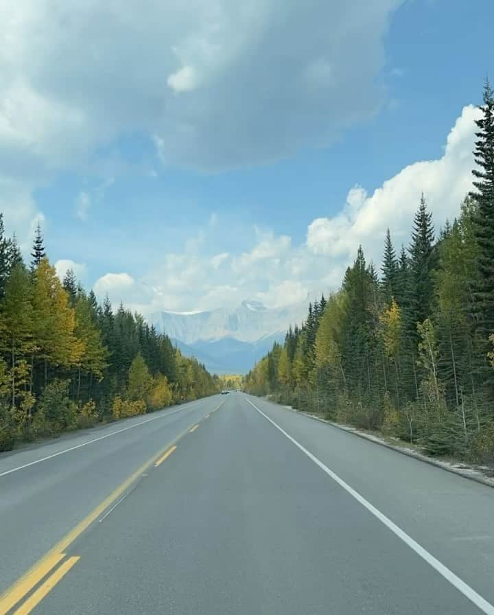 イリー・リーのインスタグラム：「9/15 - 9/18 2023 캐나다 로키산맥 여행 Banff and Jasper National park. 단풍이 너무 예쁘고.. 세계 5대 절경이자 빙하가 녹아서 생긴 레이크 루이스도 가보고,  태어나서 가장 높은 곳에도 가보고 (해발 7486ft) 가장 큰 빙원인 컬럼비아 아이스필드도 가고, 엘크도 보고 캠핑카 타고 여기저기 가고.. 날씨도 완벽하고 모든게 좋았던 @jillianlovesyoo 의 버킷 리스트 여행   #벤프 #재스퍼 #로키산맥 #캐나다여행 #가을여행 #호수 #레이크루이스 #banff #jasper #canada #foliage #trip #rockymountains」