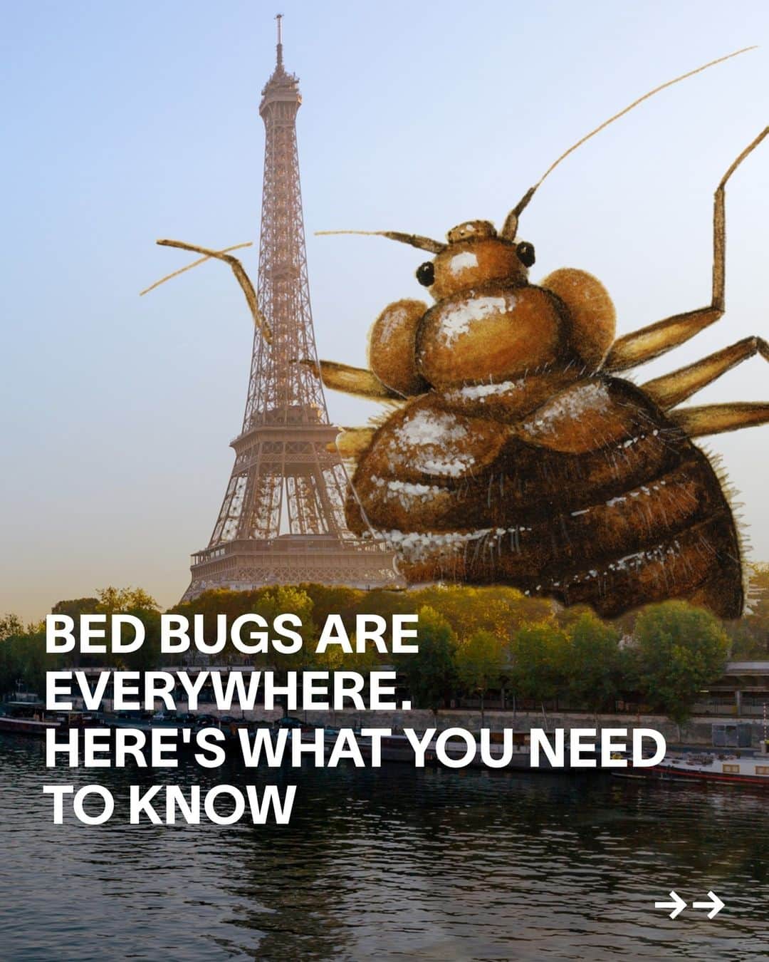 VICEのインスタグラム：「Your Instagram feed may well be covered in bed bugs—they’ve already torn through France and are starting to pop up elsewhere. They’re on public transport, in movie theaters, in your nightmares. Though the whole country’s going through it, Paris has reportedly been most affected, as gnarly photos and videos circulate of infested Parisian infrastructure.⁠ ⁠ But the issue isn’t just local to France: we’re seeing an ongoing increase in many parts of the world. That's partly due to global travel, among other reasons. VICE spoke to Professor James Logan, at the London School of Hygiene and Tropical Medicine, to get some more information on the rise of the bed bugs.」