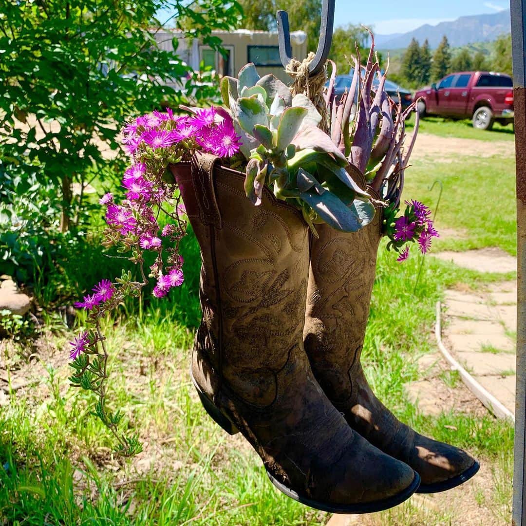 ダブのインスタグラム：「A fun upcycle for old boots! We used a Shepard's hook and twine to hang them- so cute! #oldbootsnewdirt #oldboot #upcycle #upcyclefashion #gardeninspiration #oldbootsnewlife」