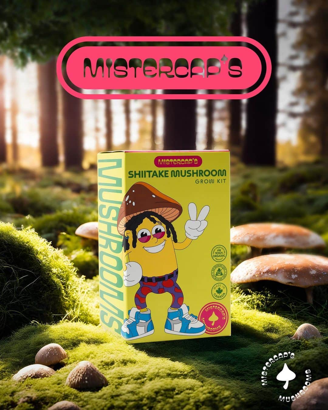 のインスタグラム：「Shiitake mushrooms are a delicious and versatile ingredient that can add a rich and savory flavor to many dishes 🍽️🍄 Grow your own!」