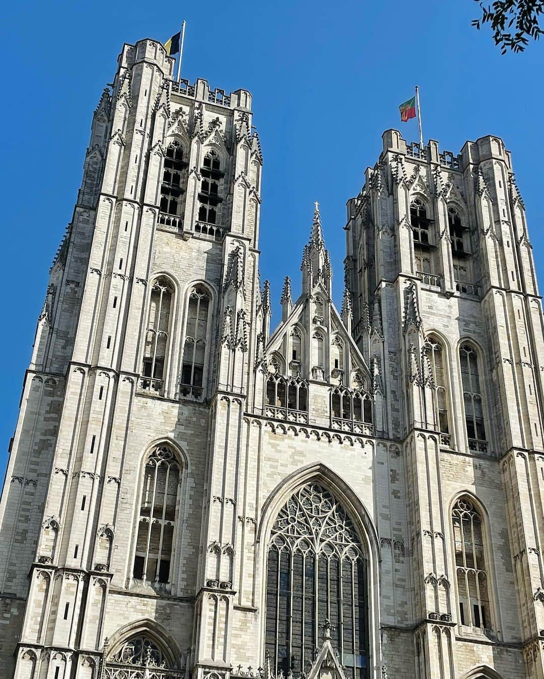 Christian Collinsさんのインスタグラム写真 - (Christian CollinsInstagram)「Some of the most beautiful architecture i’ve ever seen lives in Brussels, Belgium. We stayed at the beautiful @radissoncollectionbrussels 🇧🇪 walking distance from everything including our first Belgium fries. 🍟  If you had to choose one food to live on for the rest of your life, would it be fries or waffles? 😂  . #travel #belgium #radissonhotels #raddisoncollection @radissoncollection」10月4日 2時45分 - christiancollins