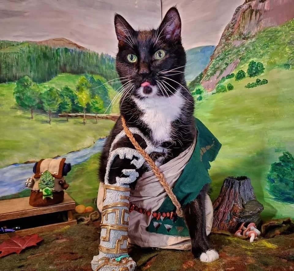 猫コスプレさんのインスタグラム写真 - (猫コスプレInstagram)「Who was your first Link?  #Zelda #LegendOfZelda #link  . . . .  #totk #twilightprincess #TearsOfTheKingdom #loz #thelegendofzelda #catcosplay #cosplay #cosplayer #cat #catcostume #catsinclothes #petclothes #PetCostume #petarmor #catarmor #funnycats #halloween #nintendo #nintendocosplay #linkcosplay #linkfanart #zeldafanart」10月4日 2時48分 - cat_cosplay