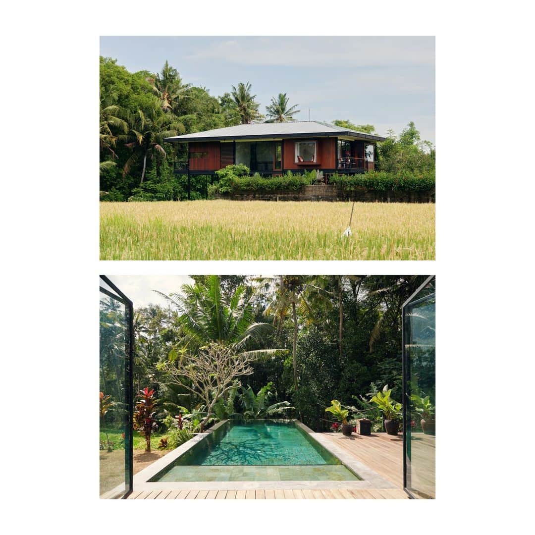 Airbnbさんのインスタグラム写真 - (AirbnbInstagram)「Spread out in this tropical, loft-style villa on 1250m of private property, surrounding yourself with lush rice terraces, tropical jungle, and a small river.  🏡 Haigha House 📍 Ubud, Bali, Indonesia」10月4日 4時05分 - airbnb