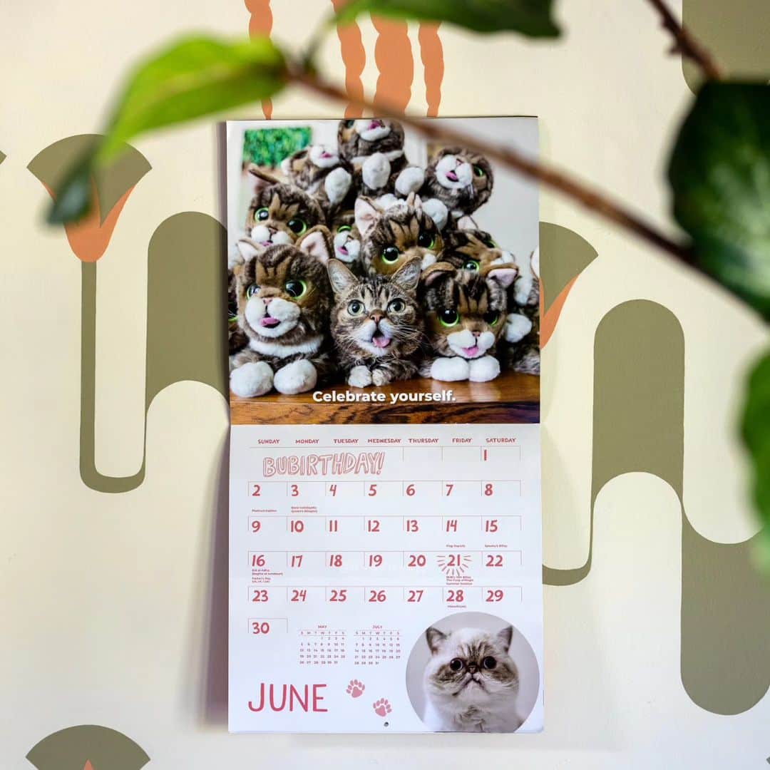 Lil BUBさんのインスタグラム写真 - (Lil BUBInstagram)「The 2024 Lil BUB + Mister Marbles Calendars are finally shipping AND there’s a 48 Hour Moving Sale in the BUB STORE where everything (except the calendars) is 50%-80% off at the link in BUB's bio (store.lilbub.com)  We are moving the warehouse back to our town of Bloomington, IN again, and we desperately need to lighten our load. So please buy a bunch of amazing stuff (especially the big stuff like hoodies, sweaters, and blankets!) cause it'll help us out, it'll help you love life your life even more, and it will help support special needs pets through Lil BUB's Big FUND.  After this huge sale, the BUB STORE will be mostly closed down from October 5th through October 13th as we get situated and prepare some exciting new BUB STUFF.  Thanks for supporting BUB, Marbles, and our commitment to helping special needs pets through Lil BUB's Big FUND.」10月4日 4時00分 - iamlilbub