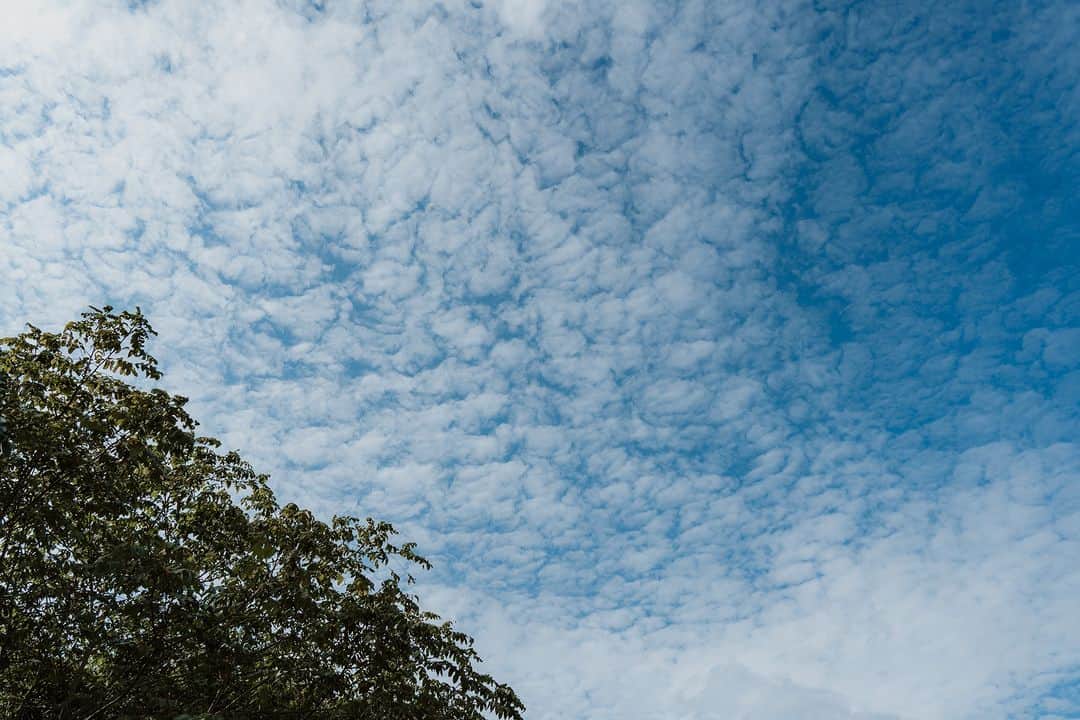 Grand Seiko Official instagramのインスタグラム：「夏の暑さも一段落つき、グランドセイコースタジオ 雫石周辺には静けさが戻ります。 静けさは匠たちの心にも変化をもたらし、時計づくりへのさらなる専心を呼び起こします。 #グランドセイコー #grandseiko #aliveintime #グランドセイコースタジオ雫石」