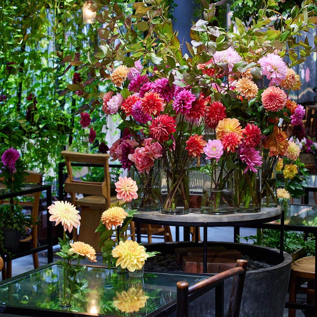 青山フラワーマーケットのグルメインスタ