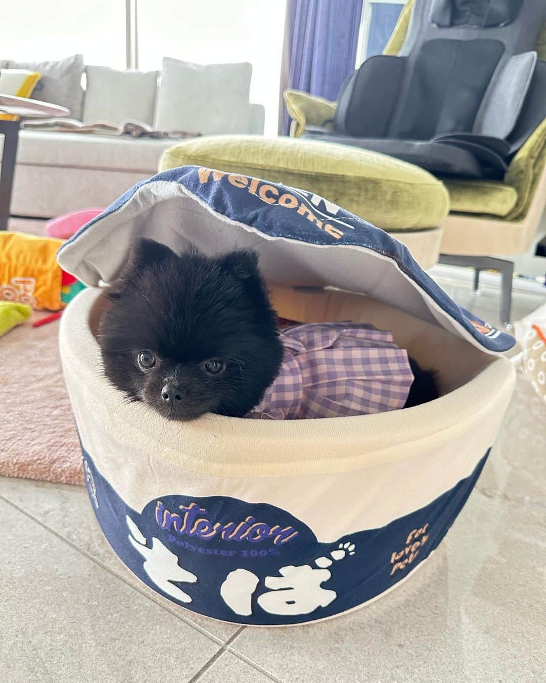 のインスタグラム：「天使👼だ♡」