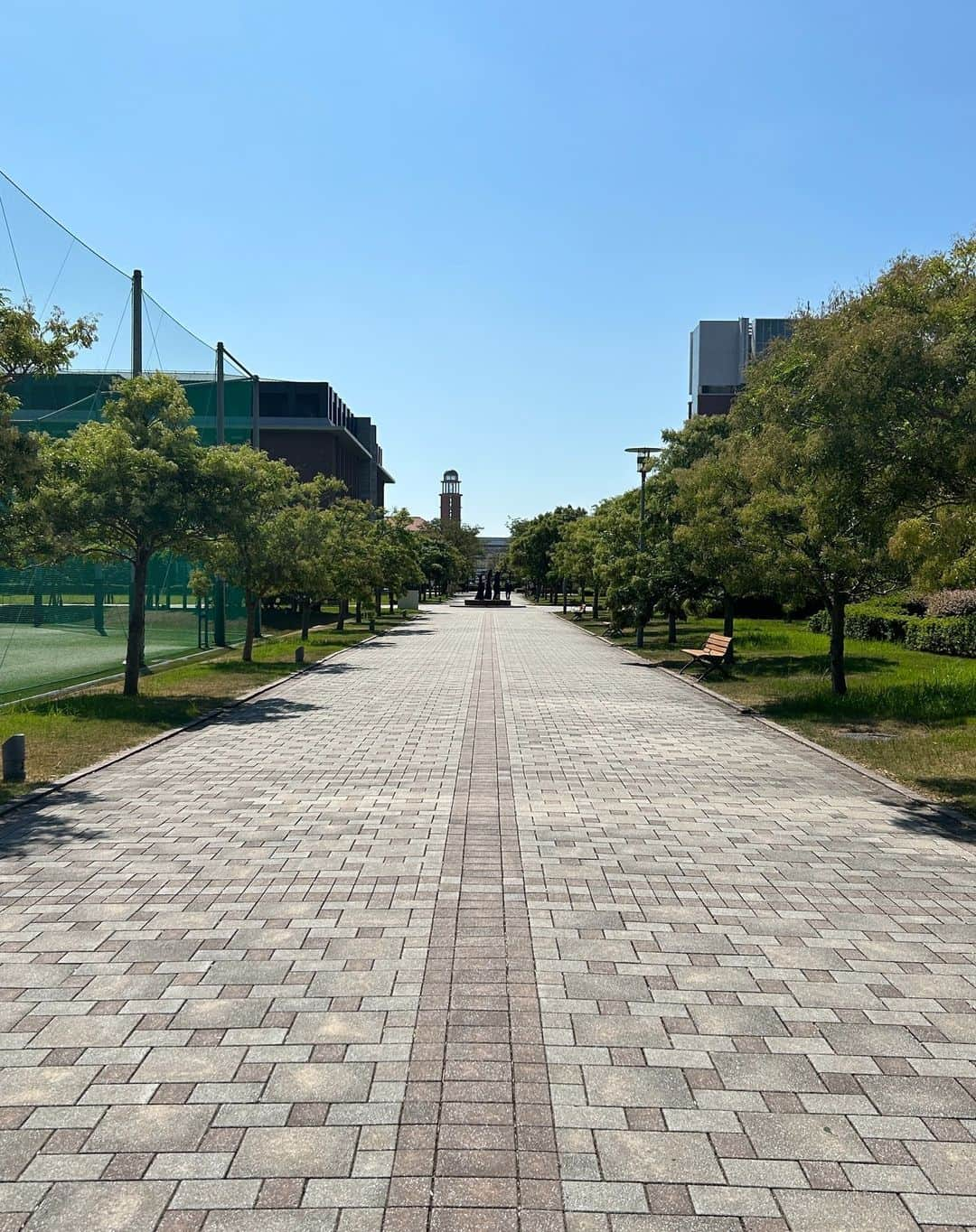 神戸学院大学さんのインスタグラム写真 - (神戸学院大学Instagram)「フォトコンテスト「神院大キャンパスライフの魅力」応募作品No.326【2023年7月－9月】経営学部の天川榛菜さんからご応募いただきました。  吸い込まれそうに広がる青空に続くキャンパスへの道。 お気に入りの通学路を撮影してくれました！  ～写真にまつわるエピソード～ 四季によって草木が変化し、同じ道でも色々な姿に変化するこの道は、私が通学する際に必ず通る道で思い出深いからです。 ～～～～～～～～～～～～  これから秋に向かって色づいてくる木々の変化が楽しみですね🍁  皆さんもキャンパスの魅力が伝わる写真を撮影して、ぜひフォトコンテストに応募してみてください📸  フォトコンテスト10月～12月の応募を開始しました！ 応募方法は以下のURLから↓ https://www.kobegakuin.ac.jp/support/student_life/contest.html たくさんのご応募お待ちしております🍂  #神戸学院大学 #神戸学院 #神戸 #大学 #kobegakuin #kobegakuinuniversity #ポーアイ #ポートアイランド #大学生 #ポートアイランドキャンパス #青空 #空 #通学路 #キャンパスライフ #学生生活 #写真 #写真コンテスト #フォトコンテスト #フォトコン #フォトコンテスト開催中 #ファインダー越しの私の世界 #キャンパスフォト #フォト #写真部 #大学の景色 #空が好きな人と繋がりたい #写真好きな人と繋がりたい」10月4日 16時10分 - kobegakuin_university_koho