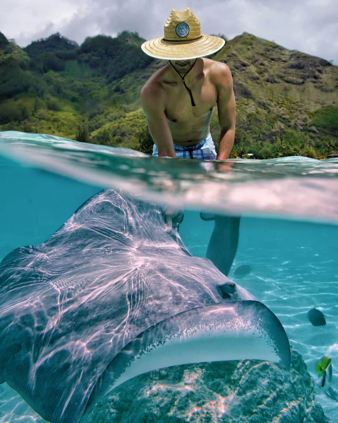 ティムさんのインスタグラム写真 - (ティムInstagram)「Close to the ocean is where I belong ! 🌊🦈🐠 📸 @mawmaiau . . . . #amazingmoorea #frenchpolynesia #moorea #tahiti #stingray #sharks #underwaterphotography #summerhappiness #family」10月4日 16時02分 - timmaiau