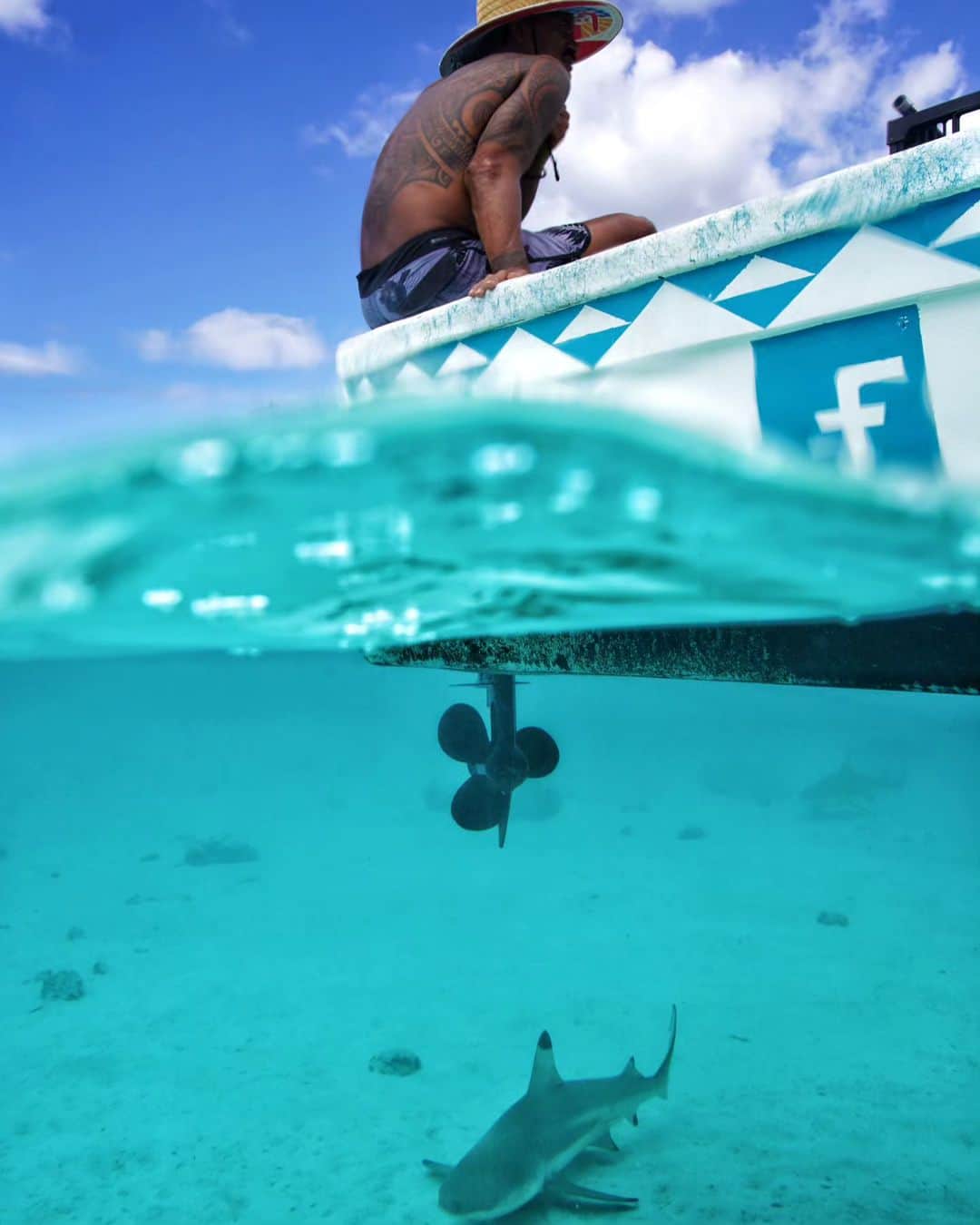 ティムさんのインスタグラム写真 - (ティムInstagram)「Close to the ocean is where I belong ! 🌊🦈🐠 📸 @mawmaiau . . . . #amazingmoorea #frenchpolynesia #moorea #tahiti #stingray #sharks #underwaterphotography #summerhappiness #family」10月4日 16時02分 - timmaiau