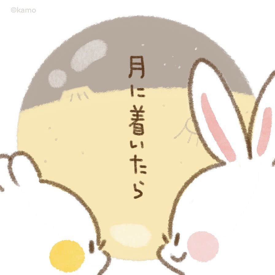 のインスタグラム：「うさぎの世界のお話  #月 #お月見 #大掃除 #ウサギタケ #usagitake」