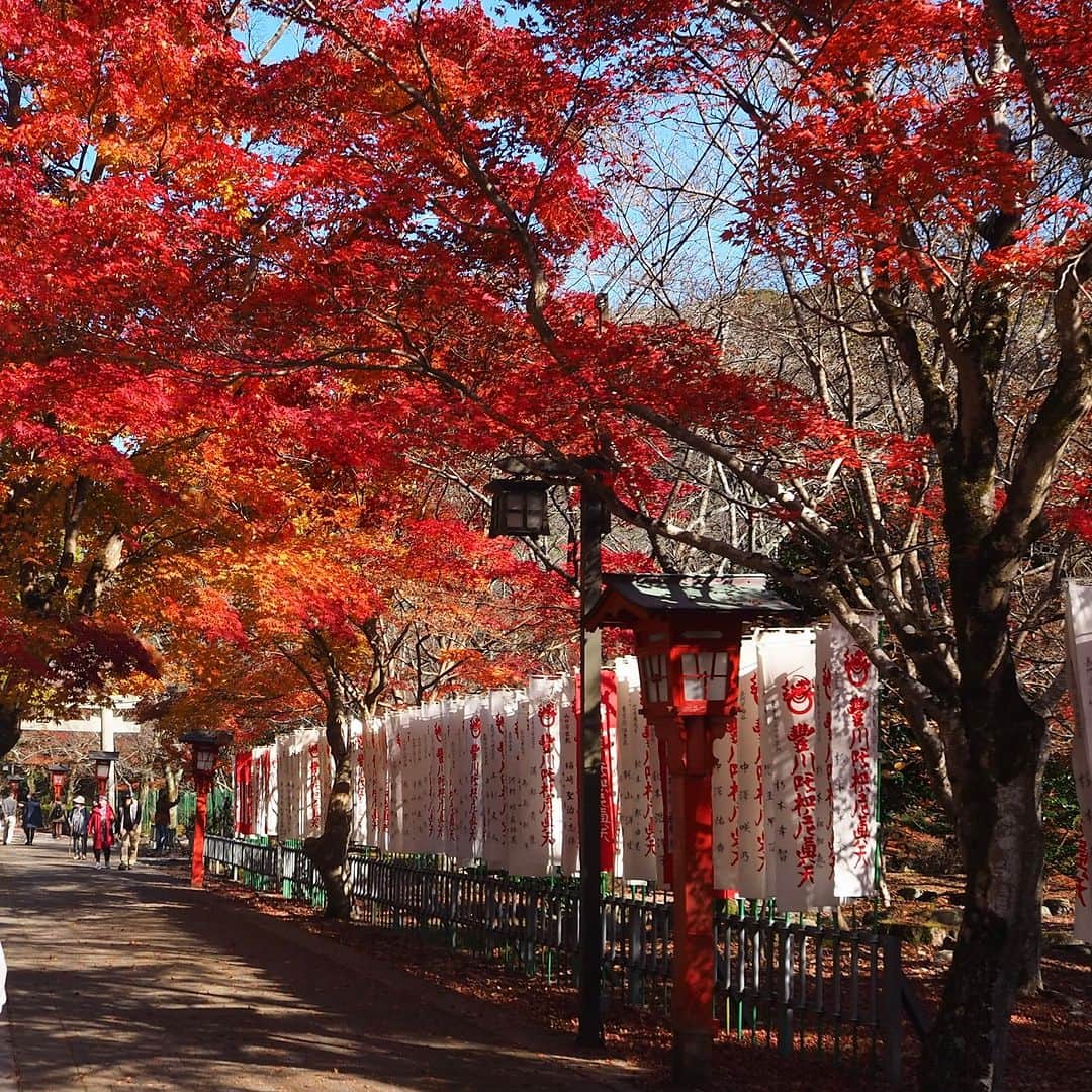 星野リゾート 界の若者旅さんのインスタグラム写真 - (星野リゾート 界の若者旅Instagram)「界 長門に併設しているあけぼのカフェでは、10月2日より秋の期間限定で、餡に和栗を使用した「どらやき くり」の販売を開始します🌰 また、四季を存分に感じることのできる界 長門では、紅葉もとても魅力的です。毎年10月～11月の紅葉のピークとなる時期をめがけて、多くのお客様がいらっしゃいます。 この時期は、散策コースに建つ大寧寺では真っ赤に染まった紅葉を、また界 長門のそばにある「紅葉の階段」では、紅葉ライトアップをお楽しみいただけます。 どら焼きを片手に界 長門や長門湯本温泉の秋を感じてみませんか？  Chestnut-flavored Dorayaki will be available at Akebono Cafe from October 2 for fall only🌰. The autumn foliage season is also beautiful at KAI Nagato, where you can fully experience the four seasons. Many guests come every year to enjoy the autumn foliage. You can enjoy the bright red autumn leaves at Taineiji Temple along the walking course, and the illumination of the autumn leaves at the Autumn Leaves Staircase near the facility. Why don't you feel the autumn in KAI Nagato and Nagato Yumoto Onsen with a dorayaki in your hand?  #星野リゾート #界 #界長門 #山口 #長門 #長門湯本温泉 #温泉 #温泉旅館 #温泉旅行 #秋 #あけぼのカフェ  #紅葉 #寺 #温泉街 #旅行 #お散歩 #hoshinoresorts  #kai #kainagato #Japantravel #hotsprings #onsen #ryokan #autumn #cafe #sweets #autumnleaves #walking #strolling」10月4日 8時05分 - hoshinoresorts.kai