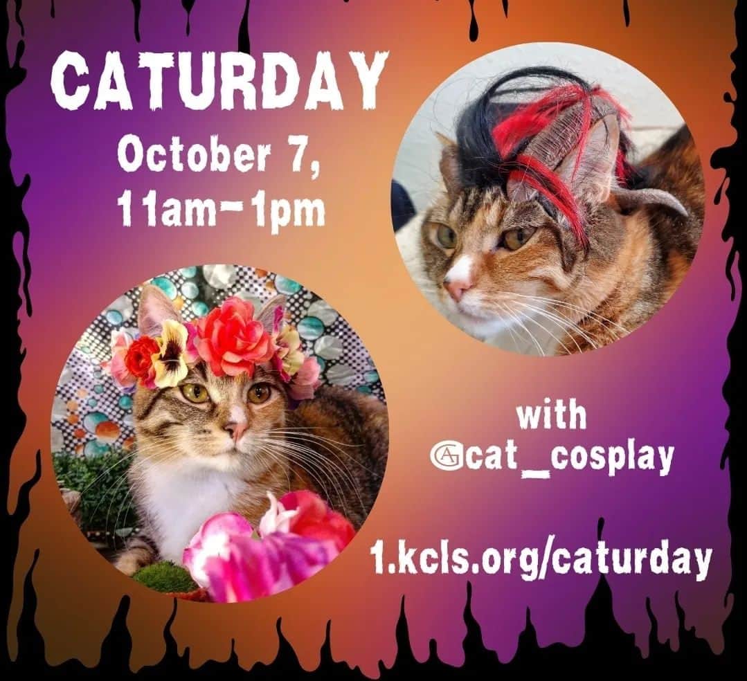 猫コスプレのインスタグラム：「We're doing a workshop for the King County Library System Makerspace! ( @kclsmakerspaces ) This Saturday from 11am-1pm at the Federal Way Library! (Washington State)  We'll be showing Flower Crowns and Horn Sculpting for cats to use in pictures!  #Caturday #projects #DIY #diycrafts #catcosplay #catcostume #cosplay #crafting #halloween #halloweenseason #halloweenideas」