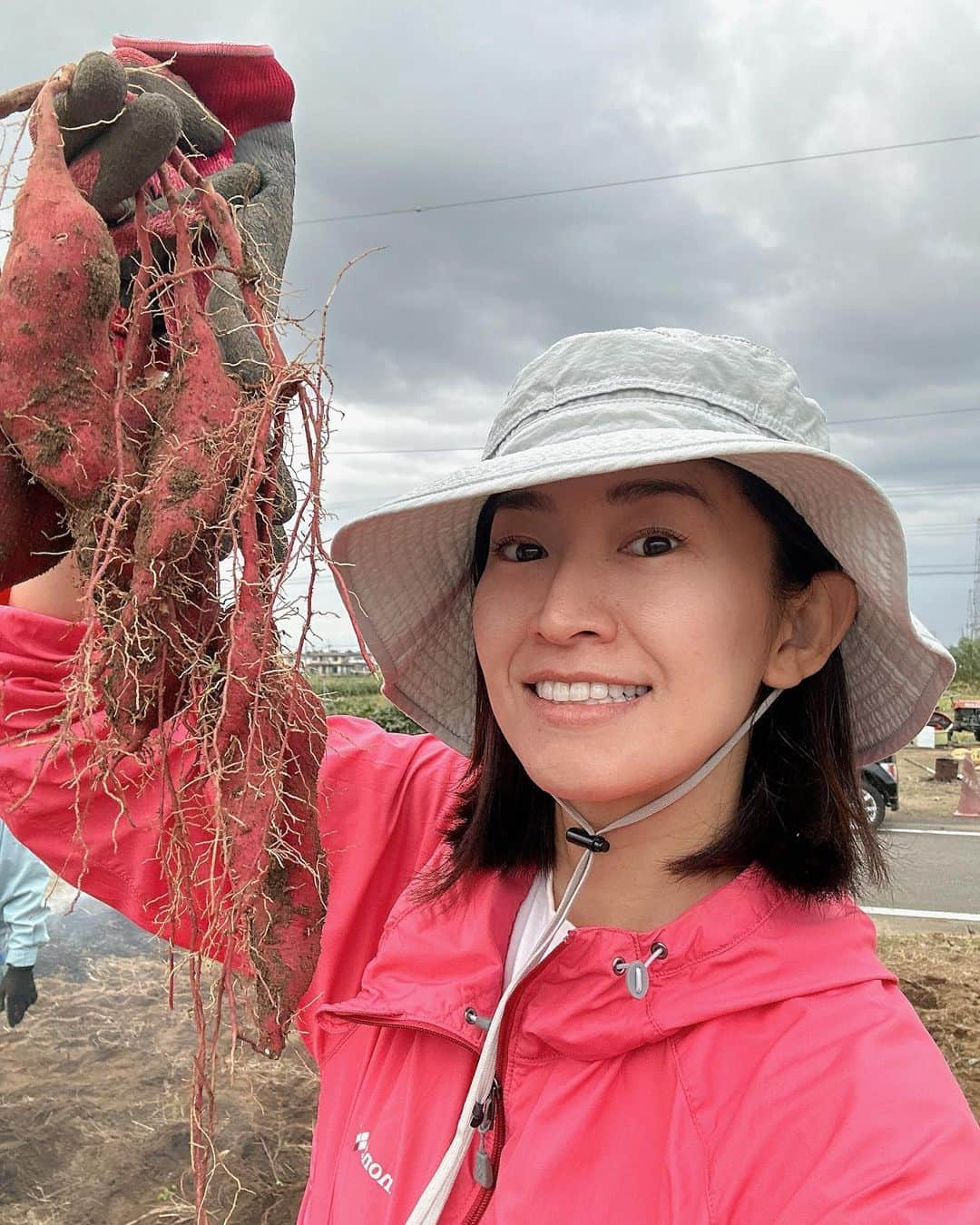 森下千里のインスタグラム：「もう10月！！ 実りの秋🍂です。  春に植えたお芋の収穫をしてきました。 酷暑の影響か、 サイズもバラバラ、ちゃっこいサイズも多く、 楽しみながら、掘り起こしましたが、 これが農家さんで、 流通に乗せないといけない状況だったら深刻です。収穫量も去年と比べて少ない気がしました。  とはいえ、 この　あおい農園のさつまいも🍠も販売会があります。めんこがっていただけると幸いです。」