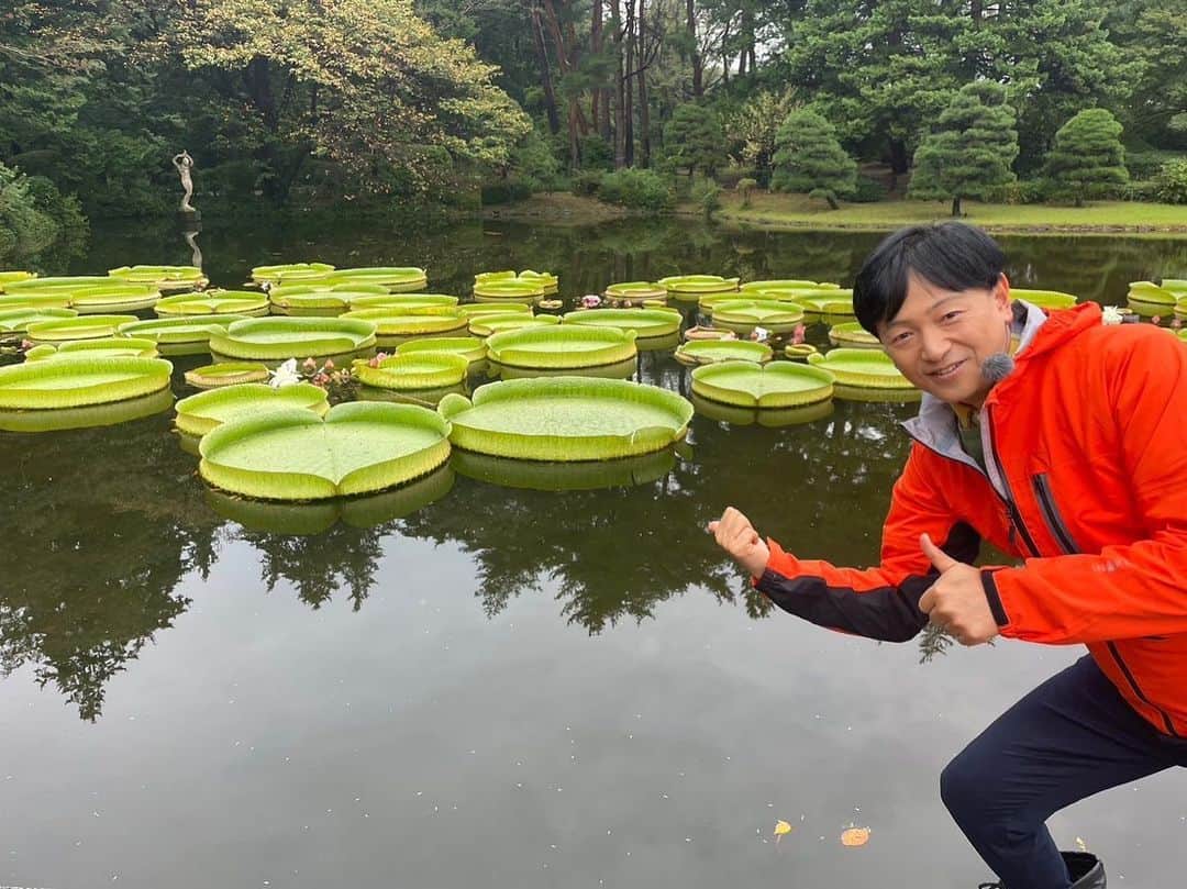 依田司さんのインスタグラム写真 - (依田司Instagram)「10月4日（水） 東京都調布市の神代植物公園から。 南米原産のパンパスグラスが見頃を迎えています。ススキと同じイネ科の植物。こちらでは高さが4.4mと国内でも珍しい大きさで、おばけススキとも言われているそう。60年ぐらい前からあることや、日当たりと風通しの良い広い芝生広場にあることが理由のよう。見頃は10月いっぱい。 また、秋バラも咲き始めており、10月中旬から見頃となるようです。  #神代植物公園 #crocodile #クロコダイル #依田さん #依田司 #お天気検定 #テレビ朝日 #グッドモーニング #気象予報士 #お天気キャスター #森林インストラクター #グリーンセイバーアドバンス #プロジェクトワイルド #IPCC伝導者 #japan #japantrip #japantravel #unknownjapan #japanAdventure #japanlife #lifeinjapan #instagramjapan #instajapan #療癒 #ilovejapan #weather #weathercaster #weatherforecast」10月4日 8時46分 - tsukasa_yoda
