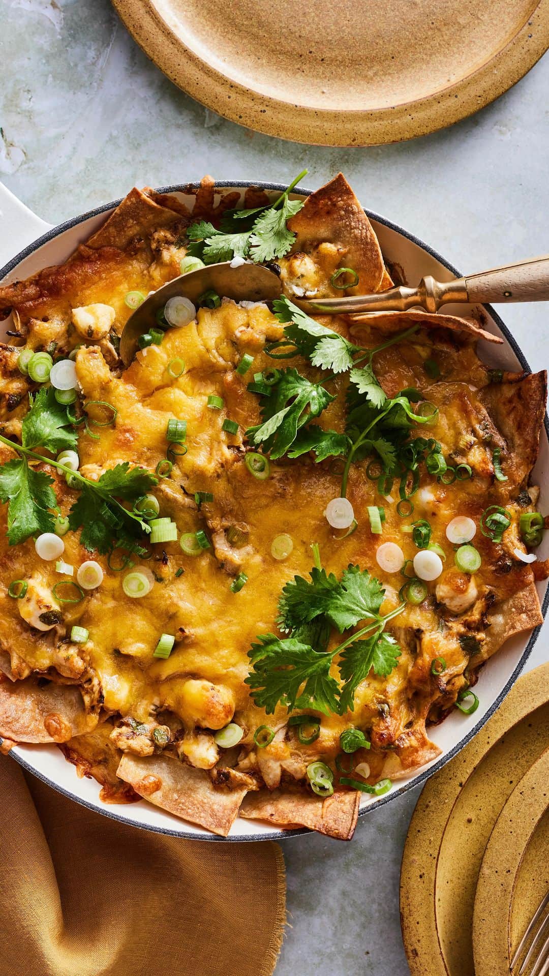 Gaby Dalkinのインスタグラム：「Mama Dalkin’s Southwestern Lasagna is a blast from my childhood and the perfect weeknight meal. Feels like the right meal to kick off the official launch of @dalkinandco 🤍 https://whatsgabycooking.com/mexican-lasagna/」