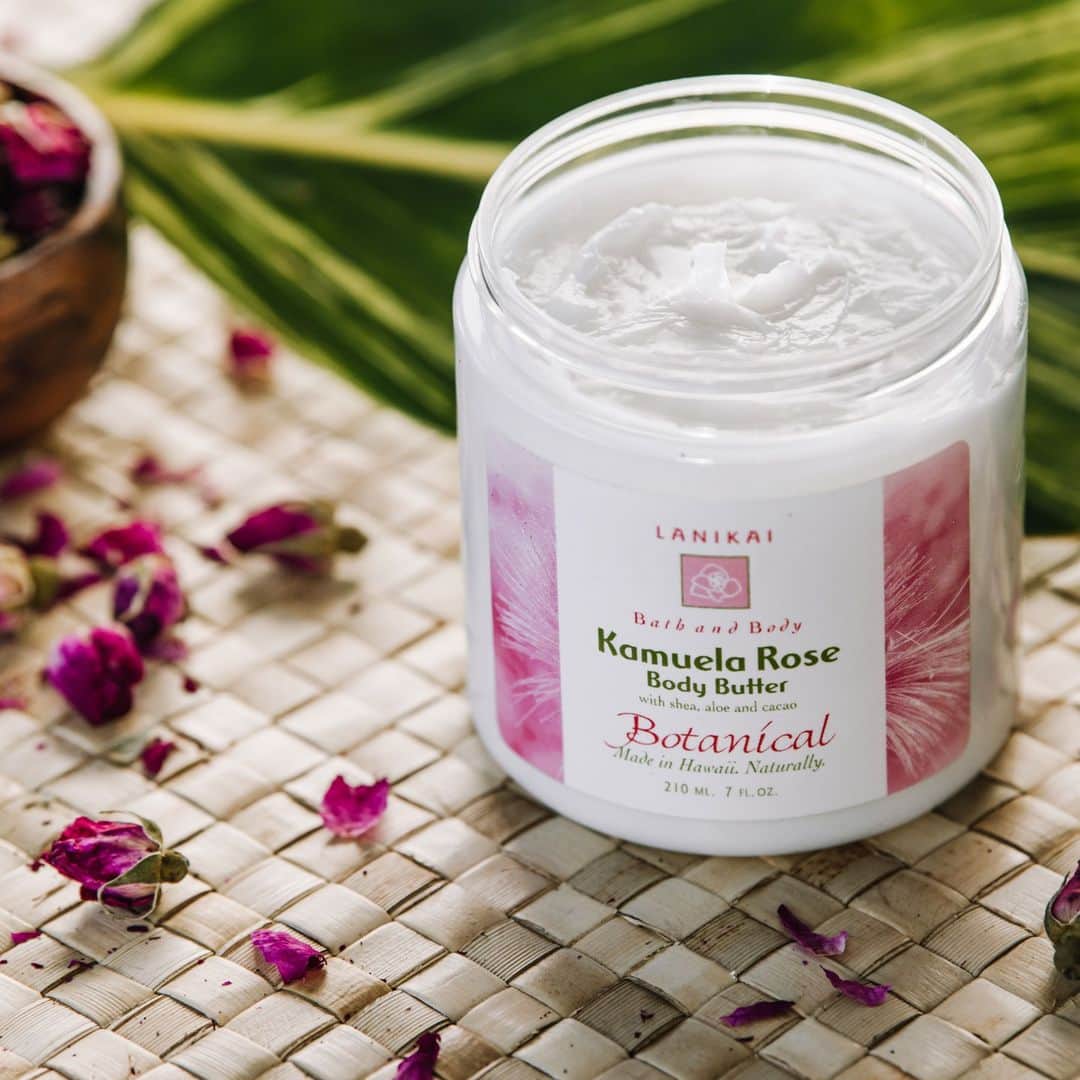 Lanikai Bath and Bodyさんのインスタグラム写真 - (Lanikai Bath and BodyInstagram)「Lanikai Body Butters are light and lovely and ideal for all skin types. Keep skin soft and supple with a blend of shea and cacao butter and the natural oils of kukui and macadamia nut, avocado, and pure vitamin E. Paraben Free.  Rich emollient body butter deeply penetrates and protects skin with deep and long-lasting hydration.  A moisture-replenishing formula featuring botanicals rich in antioxidants, fatty acids, and vitamins that help counteract dullness, dryness, and sun damage, and strengthen your skin’s natural barrier, leaving skin softer, smoother, soothed, and radiantly hydrated. #shoplocal #kailuatownhi #lanikaibathandbody #winterskin」10月4日 10時07分 - lanikaibathandbody