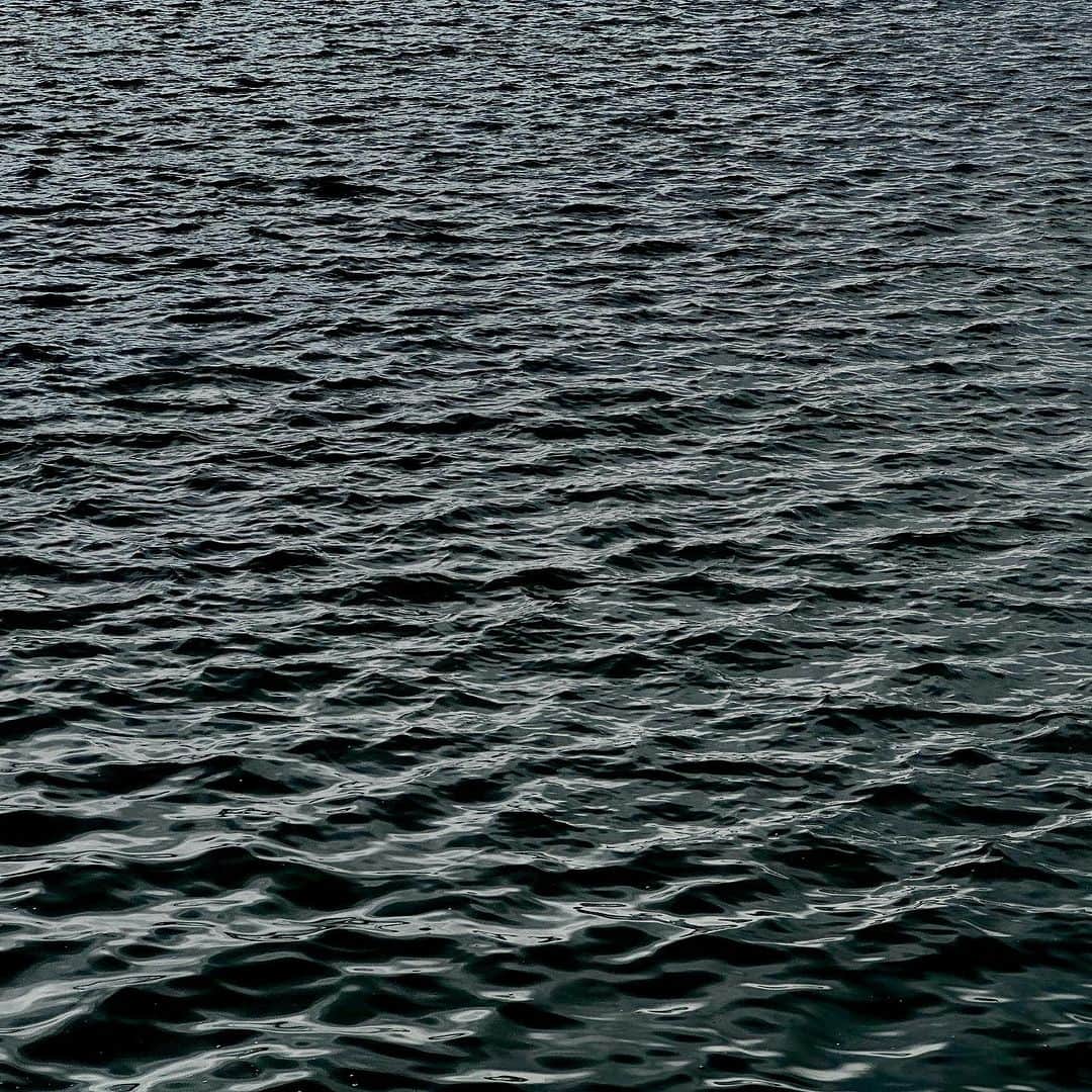武井義明さんのインスタグラム写真 - (武井義明Instagram)「東京湾岸曇天。」10月4日 10時15分 - bebechef