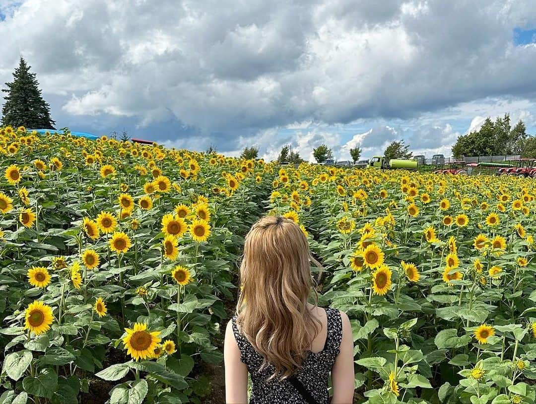 INAのインスタグラム：「いつか見てみたいと思ってたひまわり畑🌻 見れて嬉しかった😊  レギュラーシーズンのホームゲームも残り2試合。 今日も球場でお待ちしてます⚾️ . . . . #オリックス #BsGirls #BsGirls10th💎 #Bs2023 #baseball #プロ野球  #ina_355 #orix #buffaloes #オリ姫 #野球好きな人と繋がりたい #野球好き #野球女子 #パリーグ #北海道旅行 #北海道 #ひまわり #お花畑」