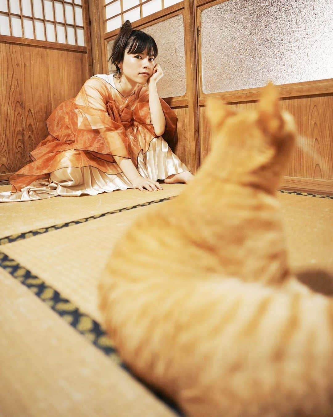 NIKIIEさんのインスタグラム写真 - (NIKIIEInstagram)「新曲「WABISABI」🍂🇯🇵👘🐈 ＼　配信開始！／  🔗 linkco.re/r4vUP7td  ジャケットに登場してくれた井手家のドビー🐈🧡 来てーってやるんだけど、来たら来たでにやけちゃうからポーカーフェイスするのが大変でした🐈🐈🐈ドビー、ありがとう🧡  📷 @kenji_agata   Drum programming by JAYTWOL @jujuclubfringues  Mixed & mastered by Takayuki Noami a.k.a. Tia Rungray(Non-REM Studio) @TiaRungray   #nikiie #linkcore #wabisabi #gingercat」10月4日 16時28分 - nikiiejp