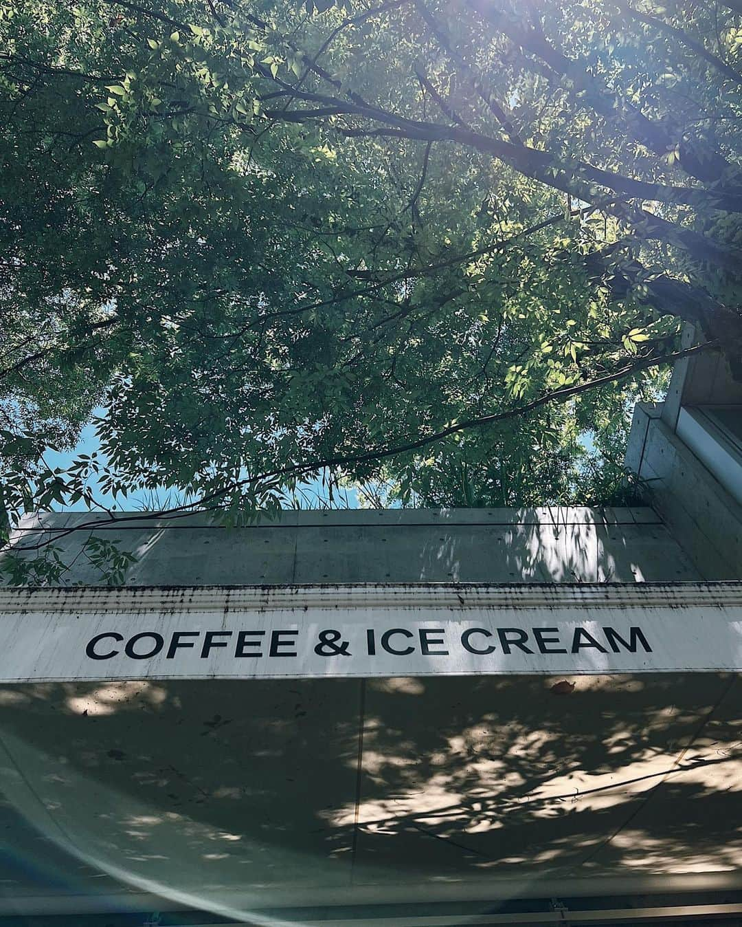 C A F E L O V E Rさんのインスタグラム写真 - (C A F E L O V E RInstagram)「Bole COFFEE & ICECREAM // 新代田 今年6月にオープンしたばかりのアイスクリームカフェ🍨☕️ 馬喰町の人気カフェbridgeの姉妹店☕️  アイスクリームはこだわりの素材や製法でつくられているそうです🍨 旬の素材を使ったアイスがたくさんあるので、定期的に食べに訪れたくなりました🍊🍇  お店は穏やかな空気の流れるとても素敵な場所にあります🌿 "東京の軽井沢"といわれているエリアだそうで、周辺にもおしゃれなショップがたくさんあり歩いてるだけでワクワクしました🐕 お散歩の休憩に立ち寄るのにもぴったりです。 ___________________________________ ㅤ ◾︎ オーダー ・アイス ダブルスクープ ¥750 (ブルーベリーヨーグルト×ピスタチオ 苺ルバーブクリームチーズ×ピスタチオ) ・アイスカフェラテ ¥600 ・アメリカーノ¥600  ㅤ◾︎ 雰囲気、広さ 2名がけ程度のテーブル席が数席と、カウンター席が3席程度 テラスも数席程度お席がありました 少人数の来店や、おひとり様にもおすすめのお店です🍨  ㅤ◾︎ わんこok🐕 ㅤ ▪︎ 最寄駅 新代田駅から徒歩3分 ㅤ___________________________________ ㅤ @bole.hanegi  #bolecoffeeandicecream  ㅤ ※ 営業の詳細や、注意事項などはお店のアカウントでご確認ください」10月4日 11時09分 - _cafelover_