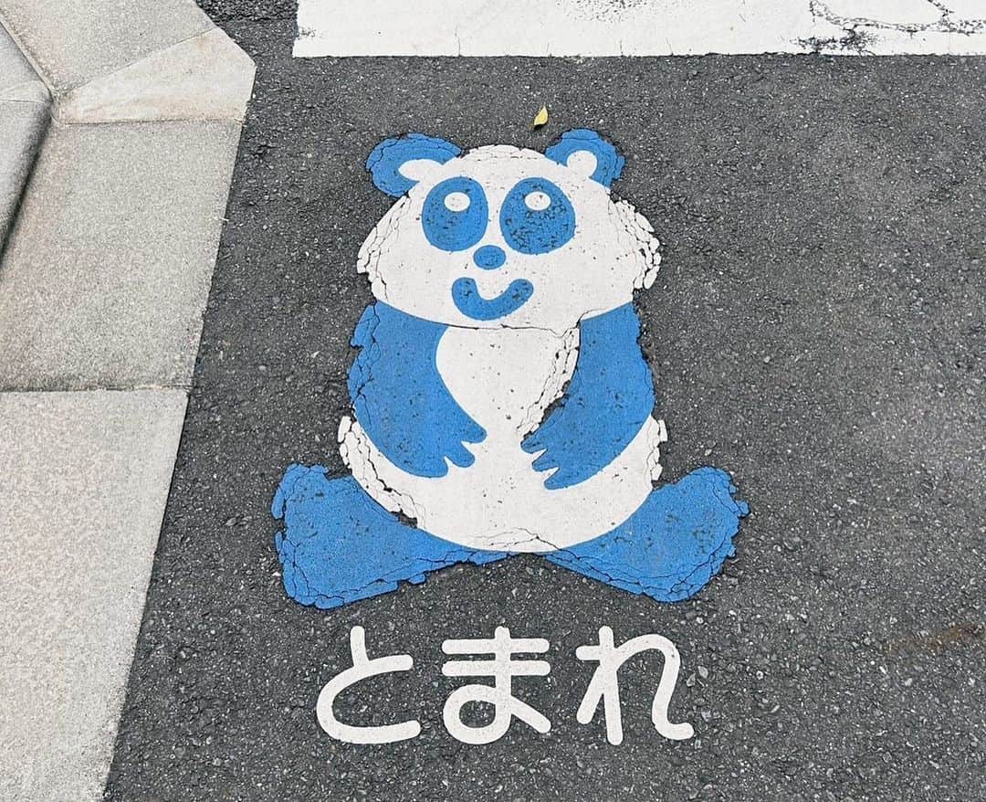 森マリアさんのインスタグラム写真 - (森マリアInstagram)「🦁🐼💫」10月4日 11時30分 - maria_mori_official