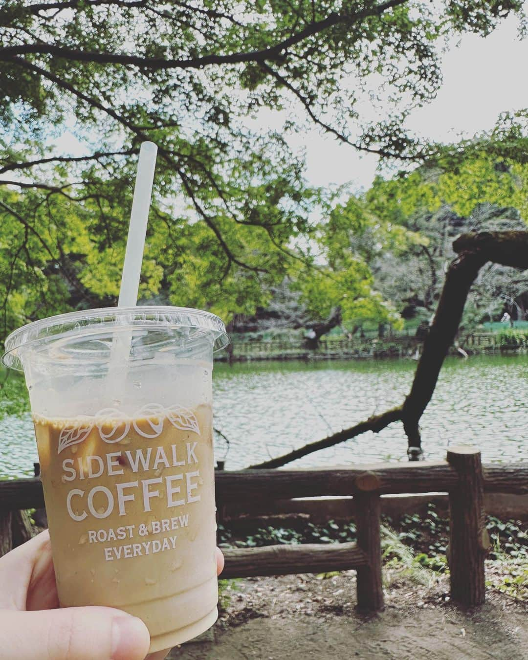 345のインスタグラム：「先日、おともだち夫婦と3人で、ピザ食べて、公園散歩して、コーヒー買って、ベンチでお喋りして、風が気持ちよくて、鳥などを眺めたりしちゃって、なんともいい空気が流れる最高の時間を、久しぶりに過ごしました…🌲 いつも写真を撮り忘れるのだけど、それっぽい写真も撮れました😂 秋って良いですね。 久しぶりに吉祥寺に舞い降りましたが、色々街が変わっていて、ドキドキズキズキしました☺️楽しかった。 きっと短いだろうけど、みなさま、良い秋を。🍂」