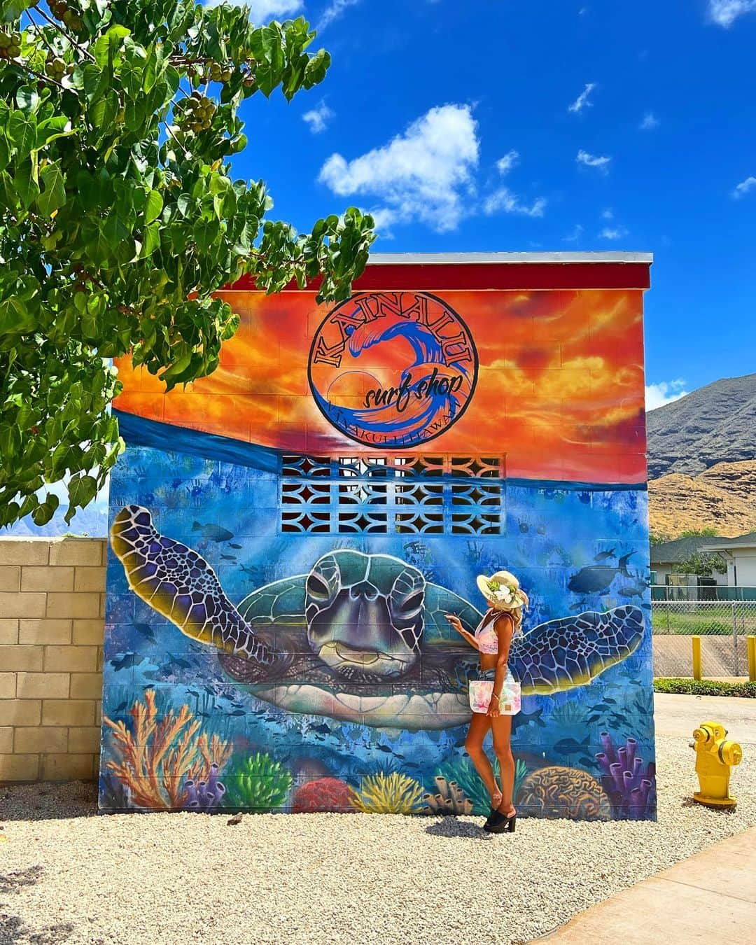 shihoのインスタグラム：「💙🍨🩵🍨💙 ・ 📍Kainalu Surf Shop ・ 西側にあるサーフショップ 『カイナル・サーフ・ショップ』 ・ ここはサーフグッズはもちろん、 カッコいいデザインのTシャツや 雑貨の販売も。 ・ 店内奥にはさりげなくシェイブアイス屋さん。 ショッピングを楽しんだ後に そのままアイスを買えるのも良き♡ もちろんわたしはウベ味のアイス♡ ・ 外には撮らずにはいられない 可愛いホヌちゃんのアートも インパクトたっぷり♡ ・ #hawaii#islandofoahu#oahu#ハワイ#trip #オアフ島#travel#loco_hawaii#travel_jp #funtorip#タビジョ#旅MUSE#genic_travel #genic_mag#たびねす#旅行#genic_hawaii #kainalusurfshop#surfshop#icecream#shop #westcoast#sweets#surf#art#oahuhawaii  #tabijyomap_hawaii#lealeahawaii#2023」