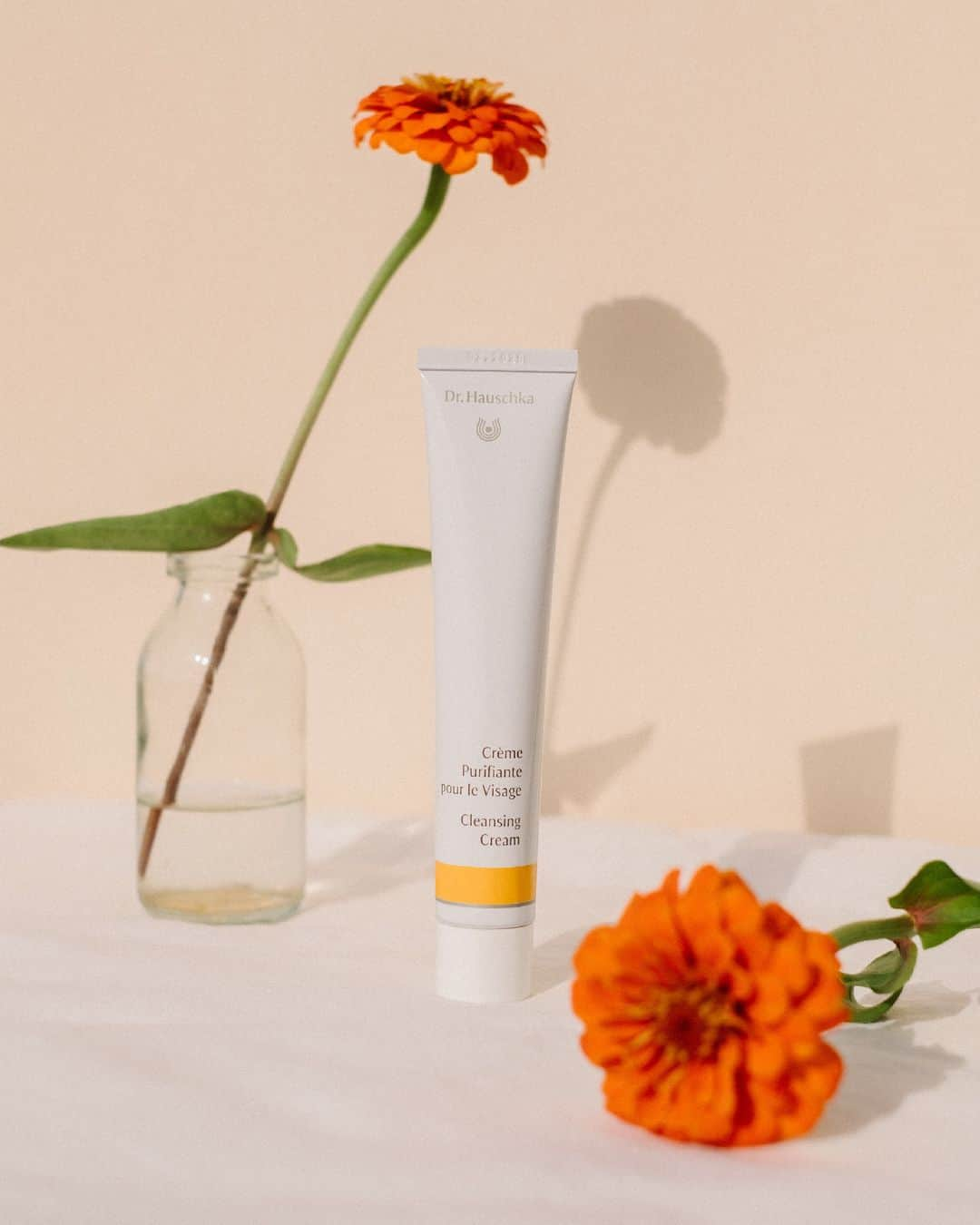 Dr. Hauschka Japan ドクターハウシュカのインスタグラム