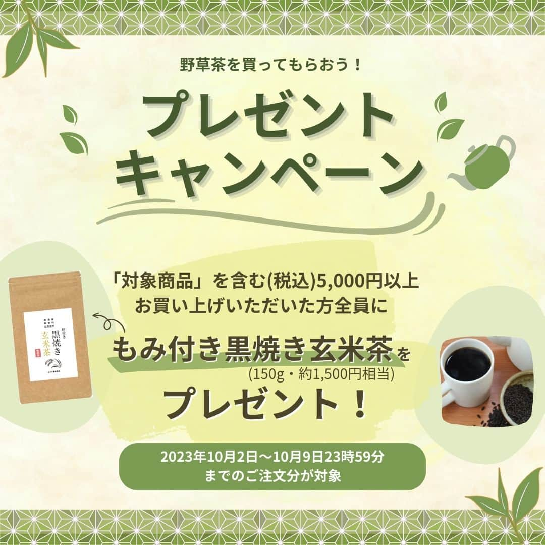 かわしま屋のインスタグラム：「🍵野草茶を買ってもらおう！プレゼントキャンペーン開催中🌿  秋が深まると気になるのは寒暖差ですね...🍂 体調管理が大切な時期です🍀 今、期間限定で野草茶を買ってもらえるプレゼントキャンペーンを開催中！ この機会にお気に入りのお茶を見つけてみませんか🌿✨  お食事やウォーキングなど運動のお供にも最適👌🚶‍♂️🍵 内側から身体を整えて、心地よく秋を楽しみましょう♪☕️  🔽キャンペーン対象商品はこちら🔽 https://bit.ly/3RJ6swJ  ✽.｡.:*・ﾟ ✽.｡.:*・ﾟ ✽.｡.:*・ﾟ ✽.｡.:*・ﾟ キャンペーンに関するご案内 ✽.｡.:*・ﾟ ✽.｡.:*・ﾟ ✽.｡.:*・ﾟ ✽.｡.:*・ﾟ ✦「対象商品」を含む(税込)5,000円以上のご注文ごとに、「もみ付き黒焼き玄米茶（黒炒り玄米茶） 150g」を1個プレゼントします。 ✦キャンペーン期間中の「対象商品」を含む(税込)5,000円以上お買い物(ご注文確定)であれば、自動でプレゼントの対象となります。 ✦1回のご注文で「対象商品」を複数お買い上げいただいても、プレゼント商品は1個のみとなります。 ※「もみ付き黒焼き玄米茶(黒炒り玄米茶)」とは、【おがた健康農園特製】の農薬や化学肥料に頼らず栽培した玄米をじっくり焙煎した玄米茶です。  #かわしま屋 #wellbeing #野草茶 #お茶 #ティータイム #玄米茶 #松の葉 #ティーバッグ #イタドリ #イタドリ茶 #スギナ #スギナ茶  #桑の葉 #桑の葉パウダー #マコモ #マコモパウダー #キャンペーン #キャンペーン実施中 #キャンペーン企画 #キャンペーン開催中 #キャンペーン情報 #キャンペーン中 #キャンペーン実施 #キャンペーン開催 #プレゼントキャンペーン #プレゼントキャンペーン実施中 #プレゼントキャンペーン開催中 #プレゼントキャンペーン中 #健康管理 #寒暖差」