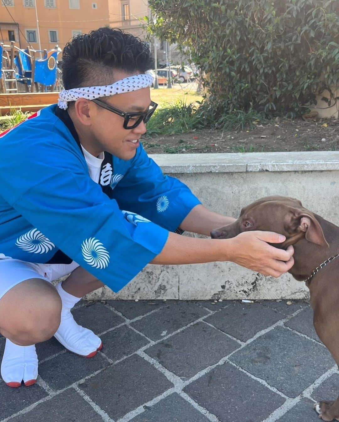 宮川大輔さんのインスタグラム写真 - (宮川大輔Instagram)「🐕❤️🐈」10月4日 12時44分 - miyagawadai