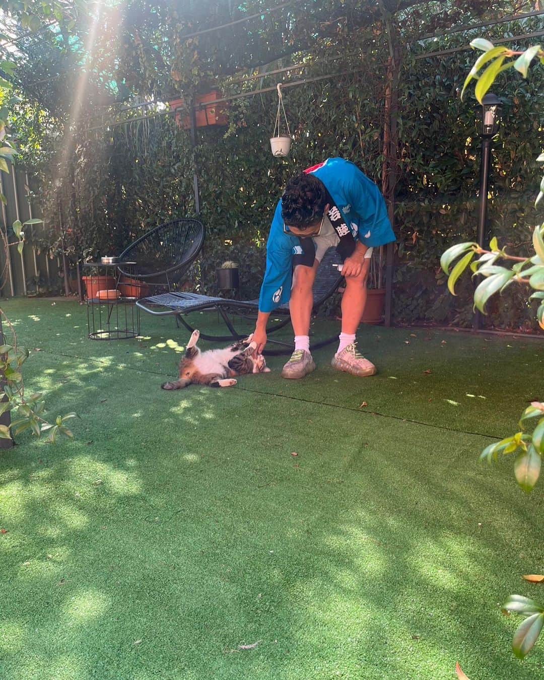 宮川大輔さんのインスタグラム写真 - (宮川大輔Instagram)「🐕❤️🐈」10月4日 12時44分 - miyagawadai