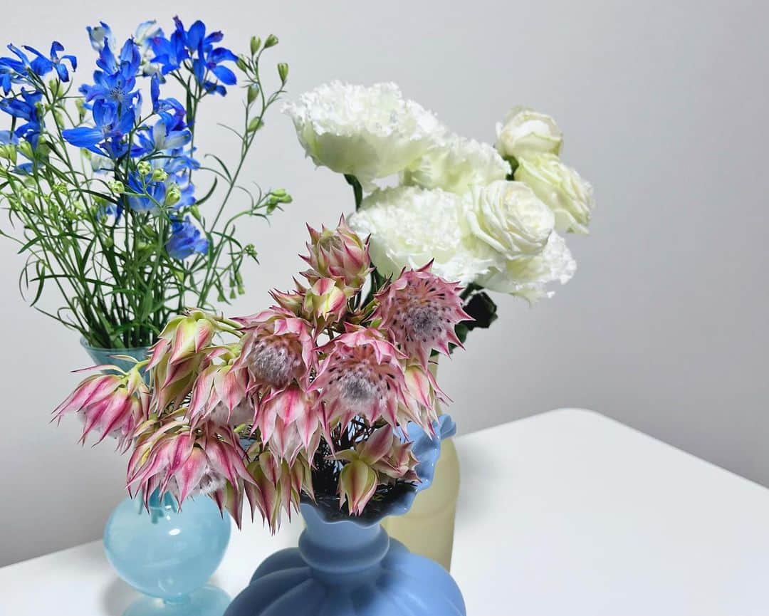 笹口直子さんのインスタグラム写真 - (笹口直子Instagram)「最近お花屋さん行ってなかったなぁ。  涼しくなってきたのに、花粉で窓を開けると辛くて、辛くて花粉どうにかならないかな😅  #お花のある暮らし #お花」10月4日 12時49分 - na.o.ko.16