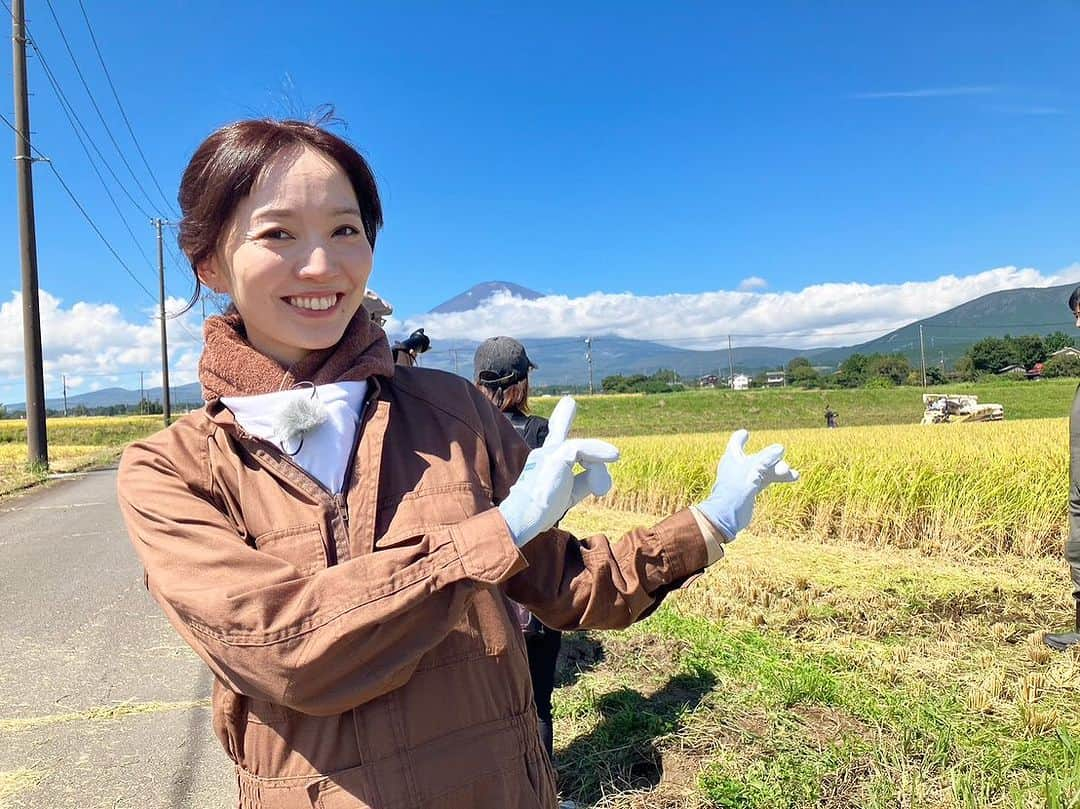 荒木麻里子さんのインスタグラム写真 - (荒木麻里子Instagram)「今月の @shizumottotv は小山町編です！ 新米の収穫や、アメーラトマトの栽培を見学してきました🌾 黄金色の稲穂と青い空のコントラストにうっとり☺️ 現在トコチャンで放送中です。 今回はナレーションも担当しましたよ🎤 ご覧いただけると嬉しいです♡ . . #しずちゃんの静岡をもっと食べたい #南海キャンディーズ #トコチャン #小山町 #小山町グルメ」10月4日 14時04分 - marilyn198612