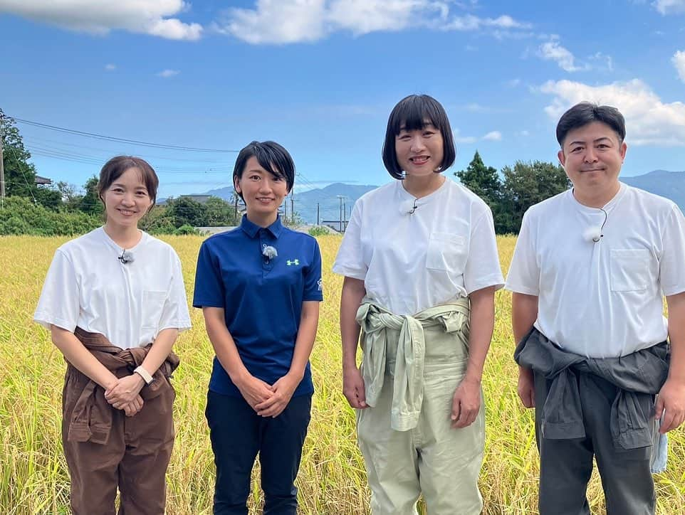 荒木麻里子さんのインスタグラム写真 - (荒木麻里子Instagram)「今月の @shizumottotv は小山町編です！ 新米の収穫や、アメーラトマトの栽培を見学してきました🌾 黄金色の稲穂と青い空のコントラストにうっとり☺️ 現在トコチャンで放送中です。 今回はナレーションも担当しましたよ🎤 ご覧いただけると嬉しいです♡ . . #しずちゃんの静岡をもっと食べたい #南海キャンディーズ #トコチャン #小山町 #小山町グルメ」10月4日 14時04分 - marilyn198612