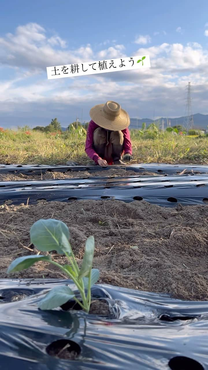 AYUMIのインスタグラム：「夫婦で畑へ🌿  草かりをして、譲り受けた40年くらい前の トラクターで夫が土を耕す🚜  私は土の上に座って、土をさわって 素手でも種を植える🌱  爪に土が入るけれど 土をさわっていると 気持ちがいい🍀  自然界と夫と力をあわせて野菜を育てている  #AYUMI楽農 #AYUMIアウトドア #自然遊び #畑ウェア #montbell」