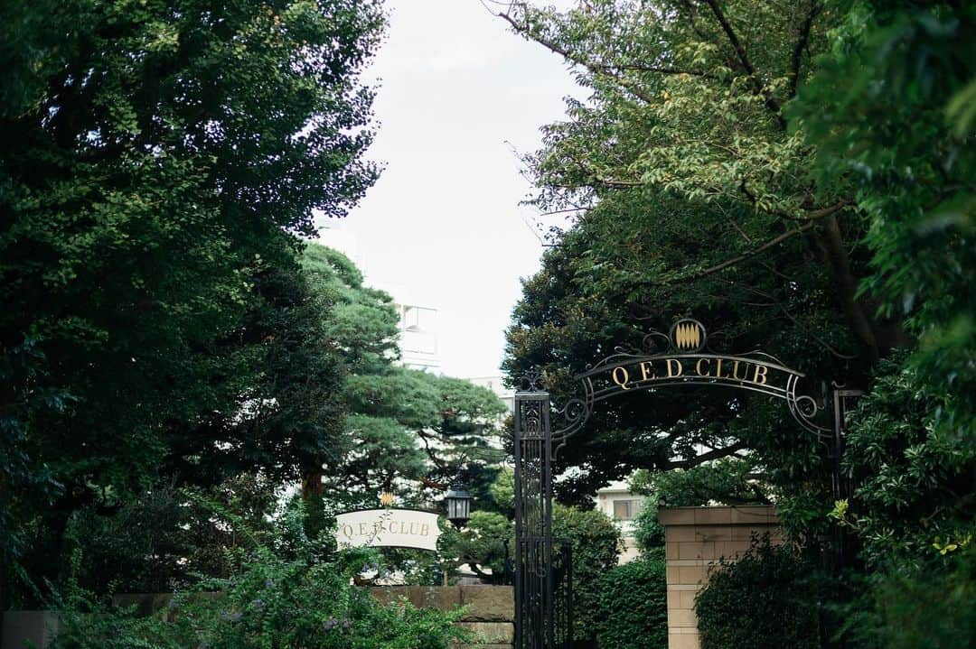 今野杏南さんのインスタグラム写真 - (今野杏南Instagram)「* ガーデンウェディングに憧れて🌿🫧  @qedclub_restaurant の緑溢れる素敵なお庭に一目惚れ🤍  風情ある空間も理想そのもの⛪️  リングピローはハワイアンキルトで、母の手作り💍🫧  💐　@nicca_bocca」10月4日 14時19分 - anna_konno0615