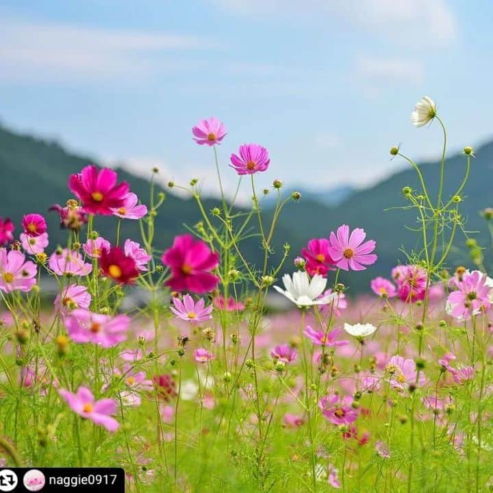 兵庫県のインスタグラム