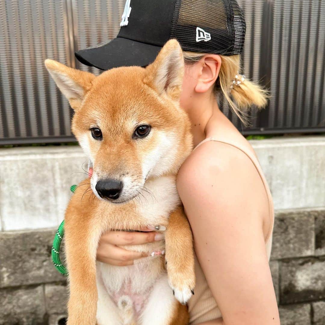 ひまちさんのインスタグラム写真 - (ひまちInstagram)「🐶🐾」9月10日 22時28分 - himati_1021