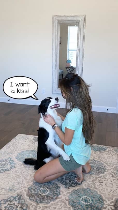 のインスタグラム：「National Hug Your Pooch Day! (But only if he likes it!)  Phoebe LOVES physical contact, and I love that about her. She used to jump on us when I came home out of excitement, so I taught her a proper “hug” on cue. She is only allowed to jump on me if I’m on the floor and give the “hug” cue. We both get what we want, so it’s a win-win.」