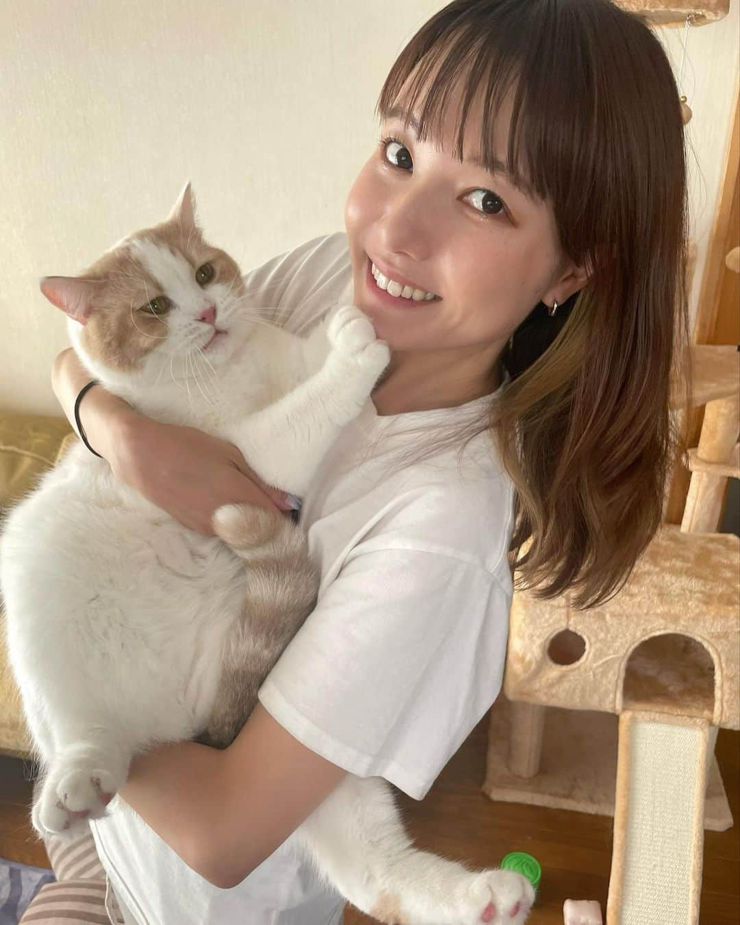 樺澤まどかさんのインスタグラム写真 - (樺澤まどかInstagram)「🐈  恭介ともしばらくお別れ。  実家で私の父の博之さんと 2人暮らししていただきます🙏  広いリビングで走り回れて キャットタワーも気に入ったみたいで良かった😢  私に真実の愛を教えてくれた恭介。 寂しい思いをさせて本当にごめんね。  恭介のためにも急ピッチで成長してすぐ戻ってきます🔥  photo by 博之  #樺澤まどか#樺澤恭介#恭介#恭様#きょったん#きょたん#恭ちゃん#きょた#猫#子猫#マンチカン#猫のいる暮らし#にゃんすたグラム#大好き#遠距離恋愛」9月10日 14時51分 - kabasawa_madoka