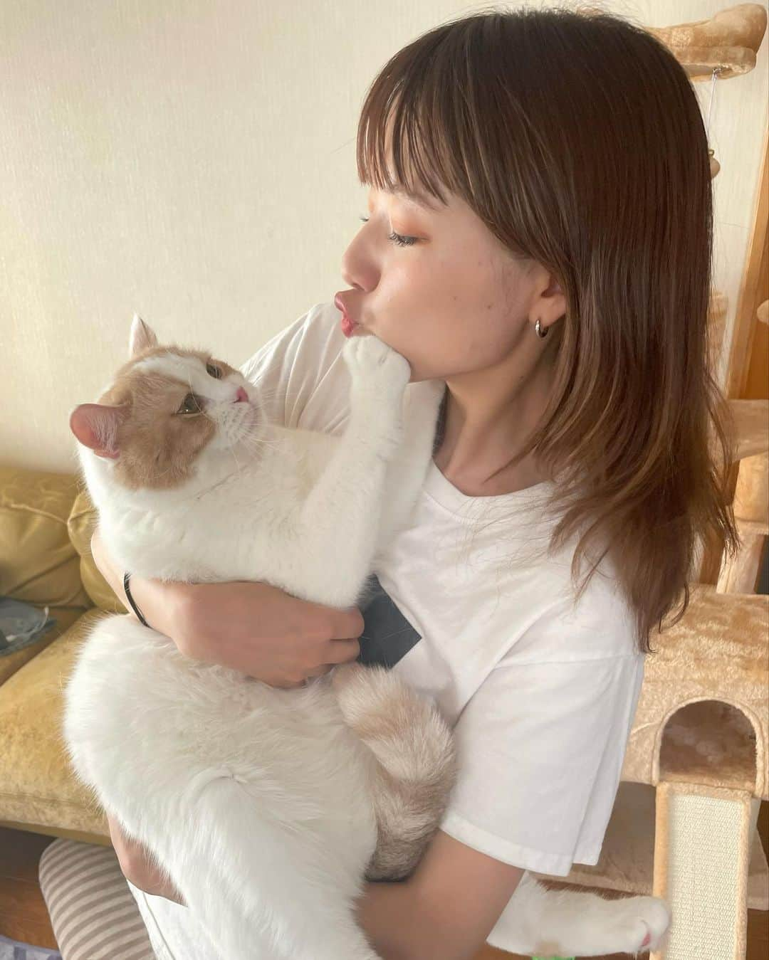 樺澤まどかさんのインスタグラム写真 - (樺澤まどかInstagram)「🐈  恭介ともしばらくお別れ。  実家で私の父の博之さんと 2人暮らししていただきます🙏  広いリビングで走り回れて キャットタワーも気に入ったみたいで良かった😢  私に真実の愛を教えてくれた恭介。 寂しい思いをさせて本当にごめんね。  恭介のためにも急ピッチで成長してすぐ戻ってきます🔥  photo by 博之  #樺澤まどか#樺澤恭介#恭介#恭様#きょったん#きょたん#恭ちゃん#きょた#猫#子猫#マンチカン#猫のいる暮らし#にゃんすたグラム#大好き#遠距離恋愛」9月10日 14時51分 - kabasawa_madoka