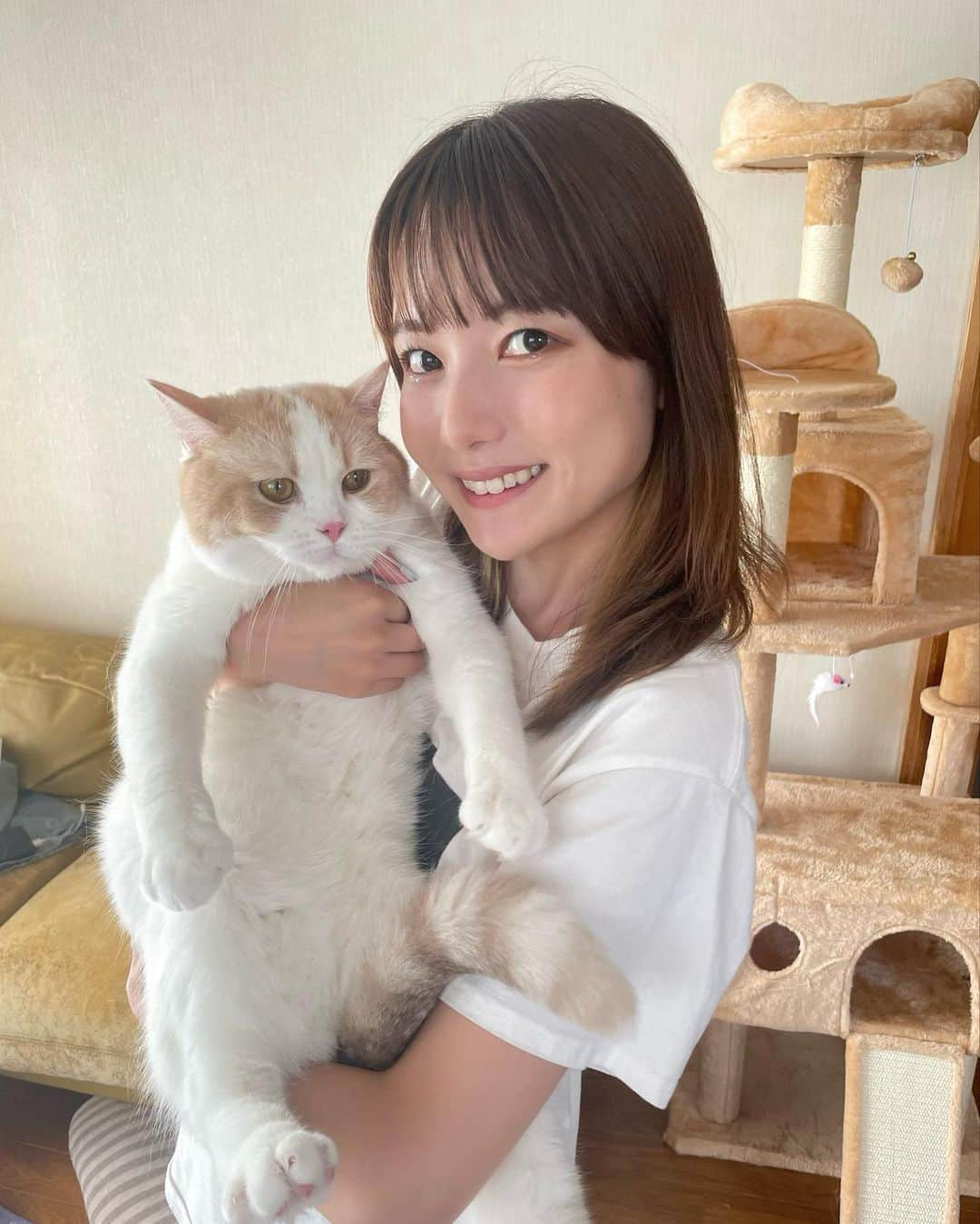 樺澤まどかのインスタグラム：「🐈  恭介ともしばらくお別れ。  実家で私の父の博之さんと 2人暮らししていただきます🙏  広いリビングで走り回れて キャットタワーも気に入ったみたいで良かった😢  私に真実の愛を教えてくれた恭介。 寂しい思いをさせて本当にごめんね。  恭介のためにも急ピッチで成長してすぐ戻ってきます🔥  photo by 博之  #樺澤まどか#樺澤恭介#恭介#恭様#きょったん#きょたん#恭ちゃん#きょた#猫#子猫#マンチカン#猫のいる暮らし#にゃんすたグラム#大好き#遠距離恋愛」