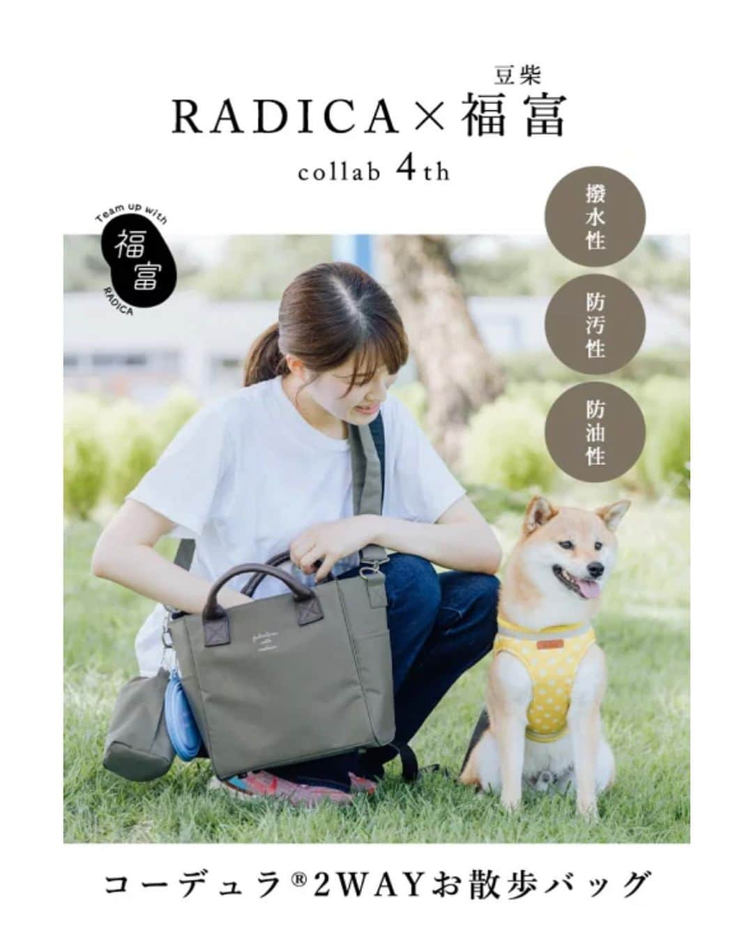 豆柴 福and富のインスタグラム：「. . \ ラディカ × 福富 コラボバッグ👜 / @radica_officialshop ✨  この度ラディカさんと協力して わたしの⌜ 🗣️こんなお散歩バッグが欲しい! ⌟ を 再現したお散歩バッグを作らせていただきました☺️✨  ☑︎毎日使うお散歩バッグは走ったときも邪魔にならないものがいい ☑︎でも福富とお出かけの日は荷物が多いので容量も大事 ☑︎それでいて見た目の可愛さや上品さも欲しい …自分の要望がめちゃくちゃすぎて相当時間がかかりました😂　 サイズ感やデザインがしっくりこなくて ラディカさんに何度も作り直していただいたり🙇‍♀️ そのお陰で機能面でもデザイン面でも これだっ！というバッグが出来ました🥹✨  しっかり荷物も入る大容量なのに 斜め掛けにして走っても邪魔にならないサイズ感、 バッグ自体も軽くて汚れにくいしお手入れもし易い、 そしてハンドバッグとしても上品な仕上がりになりました🥺✨  沢山の人に愛される定番お散歩バッグになればいいなぁと思います🫶🏻 気になった方ラディカさんの商品ページで是非確認してみてください☺️  . . #コラボバッグ #ラディカ #お散歩バッグ #mylove #doglover  #dogstagram #dogs  #shiba #shibainu #shibalove #shibadog  #shibagram #shibamania #shibalife  #shiba_snap #柴犬 #豆柴 #多頭飼い #犬のいる暮らし #犬のいる生活  #doglover #dogstagram #shibaaaaainu #barked #9gag  #thedailyshibainu #시바견　#시바이누 #小狗  @shiba_snap @barked @everydoglover @9gag」