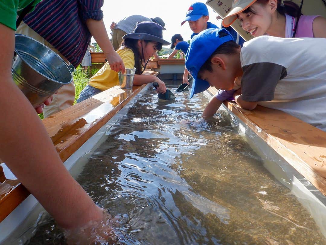 伊勢志摩エバーグレイズのグルメインスタ