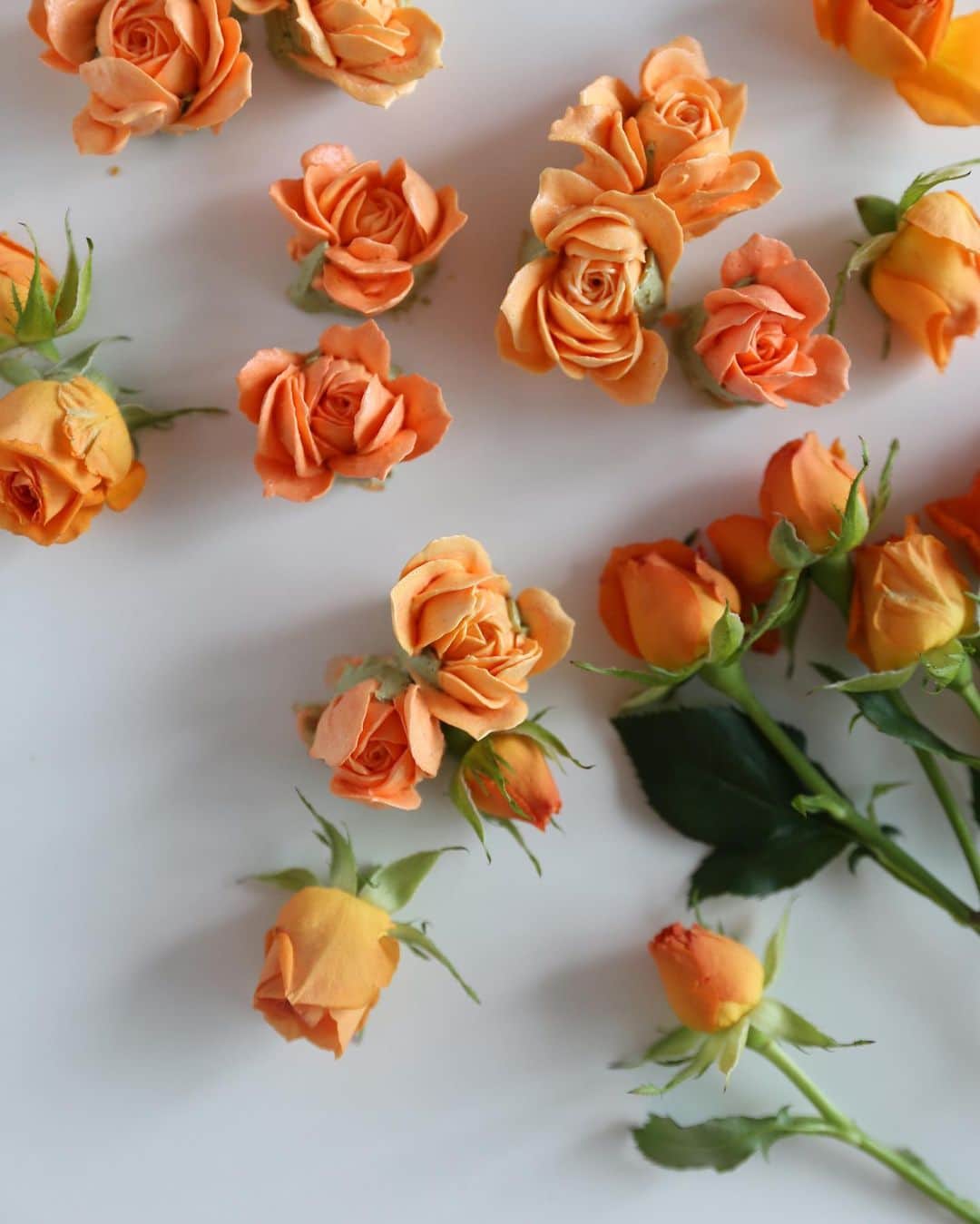 청담 수케이크 (atelier soo)さんのインスタグラム写真 - (청담 수케이크 (atelier soo)Instagram)「Rose  #rose #buttercreampiping #💗」9月10日 16時01分 - soocake_ully
