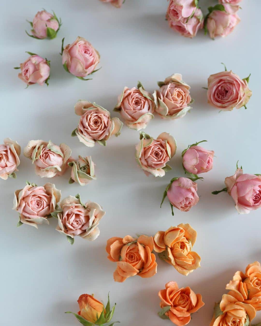 청담 수케이크 (atelier soo)さんのインスタグラム写真 - (청담 수케이크 (atelier soo)Instagram)「Rose  #rose #buttercreampiping #💗」9月10日 16時01分 - soocake_ully