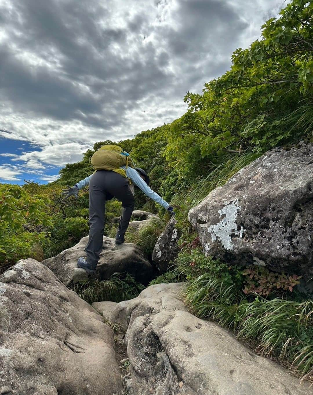 真矢みきさんのインスタグラム写真 - (真矢みきInstagram)「登山にはまっています  先日は父の故郷山形に行ってきました 羽黒山2446段の階段は途中苦行を感じますが 芭蕉も訪ねたであろう奥の細道に誘われ 有り難く登頂し参拝させていただきました  そして翌日は月山、  俯瞰ではなだらかな山と拝めたのだけど、 数分登ればそこはジュラ紀⁉と思うほどの険しい石と傾斜の連続でした  こりゃ人生そのものだ  しかし山頂付近では地上では見ることができない色合いの花々や昆虫たち  蜻蛉の群れに見守られながら一歩一歩登って行けば カメムシだってネイリストおすすめの秋のデザインみたいな色合い  無心になる  今の私には少しスケジュールを無理してでも必要としているみたいです  身体だけではなく心も鍛えられ整う日々  登山、 あんなに苦しかったのに、 今、次なる山に心抱いています  はい、ハマっているとはこういうことなのかと  登山て不思議ですね  素敵な一日を  Maya  #登山」9月10日 16時10分 - mikimayaofficial